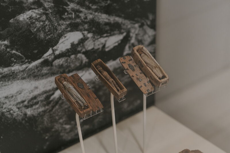 The Arthur's Seat Coffins