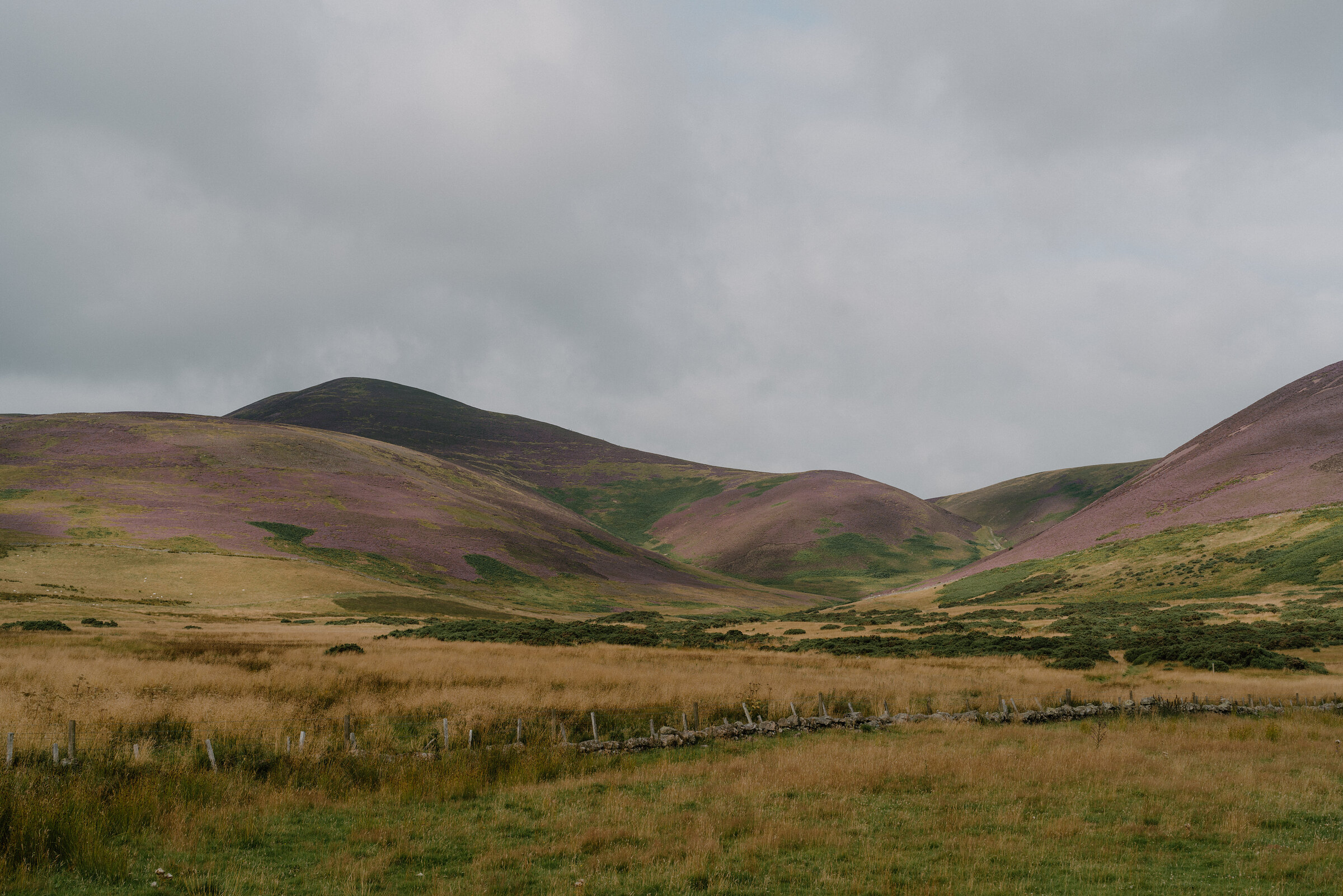 Turnhouse, Carnethy and Scald Law hill walk