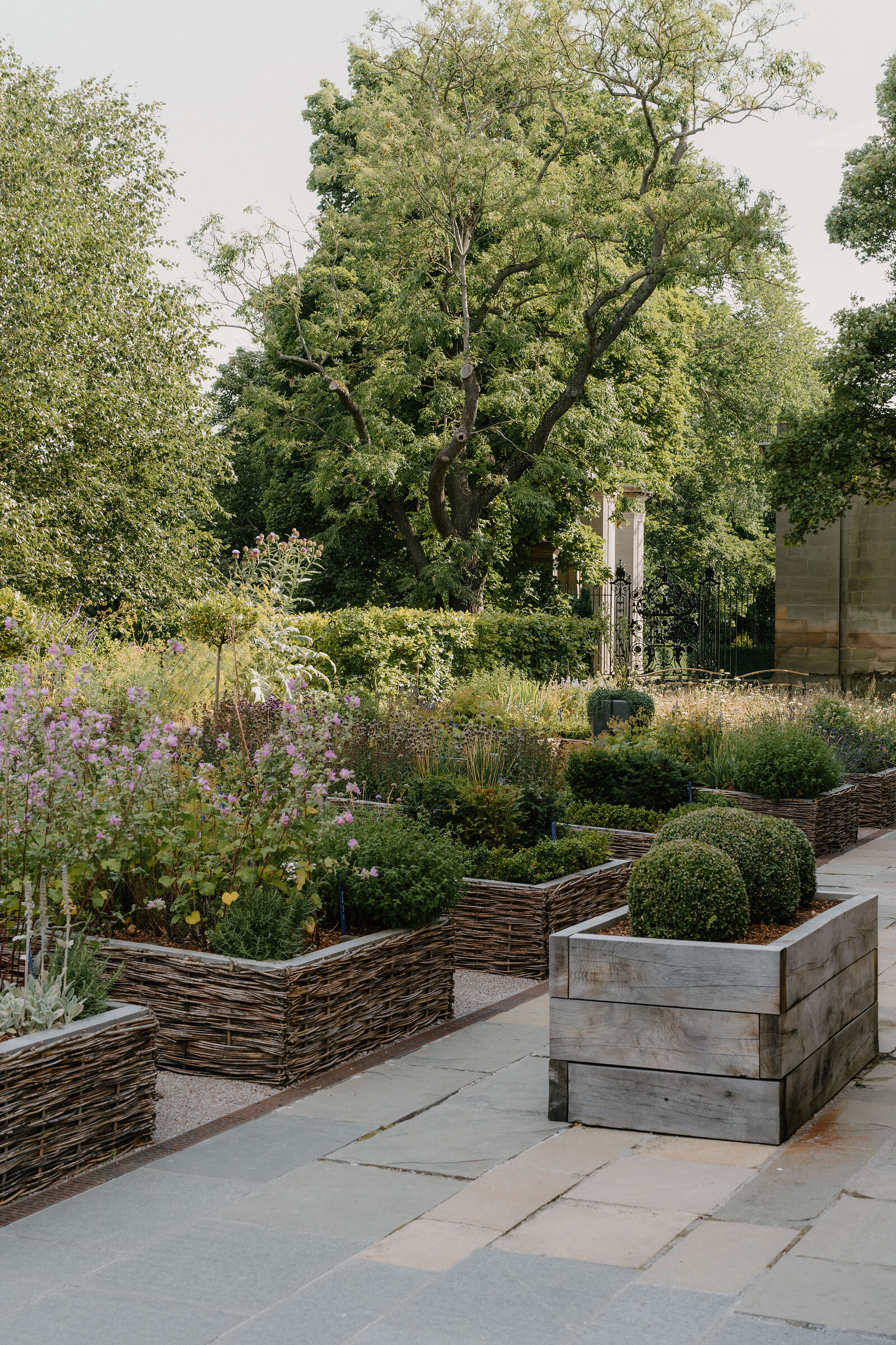 Woven willow raised beds of flowers and topiary line a paved path at the Physic Garden.
