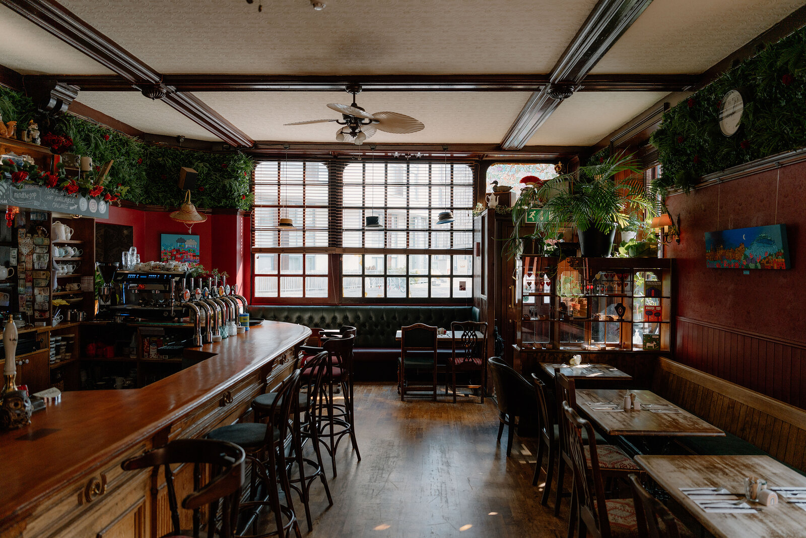 A long wooden bar with beer taps sits beneath foliage-trimmed red walls and a large window in a pub.