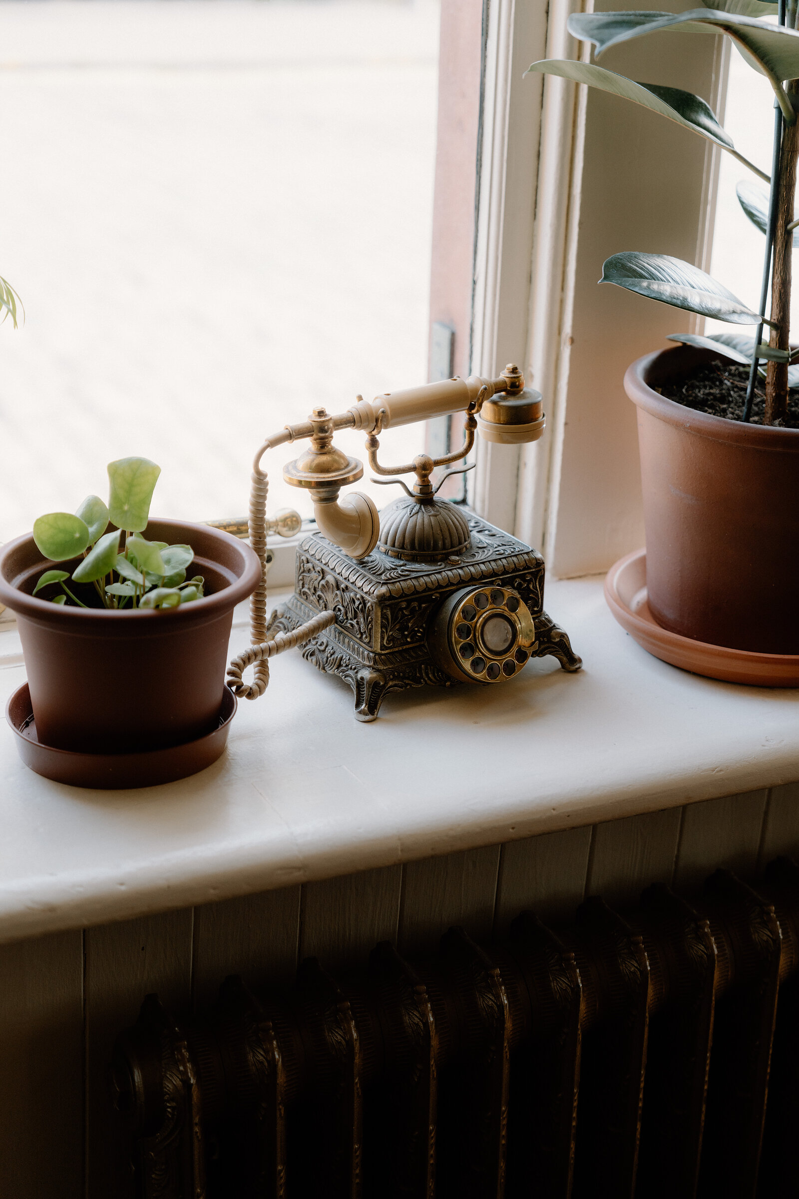 An ornate vintage telephone sits on a windowsill between two potted plants.