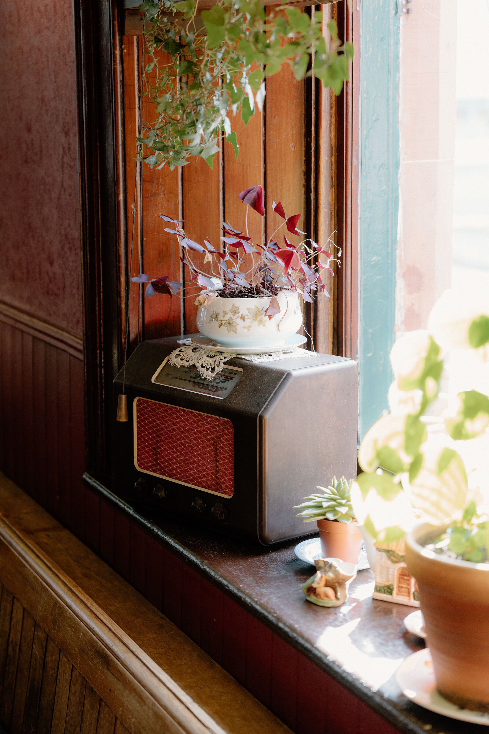 A vintage radio sits below a potted plant on a windowsill beside a teacup of trailing foliage.