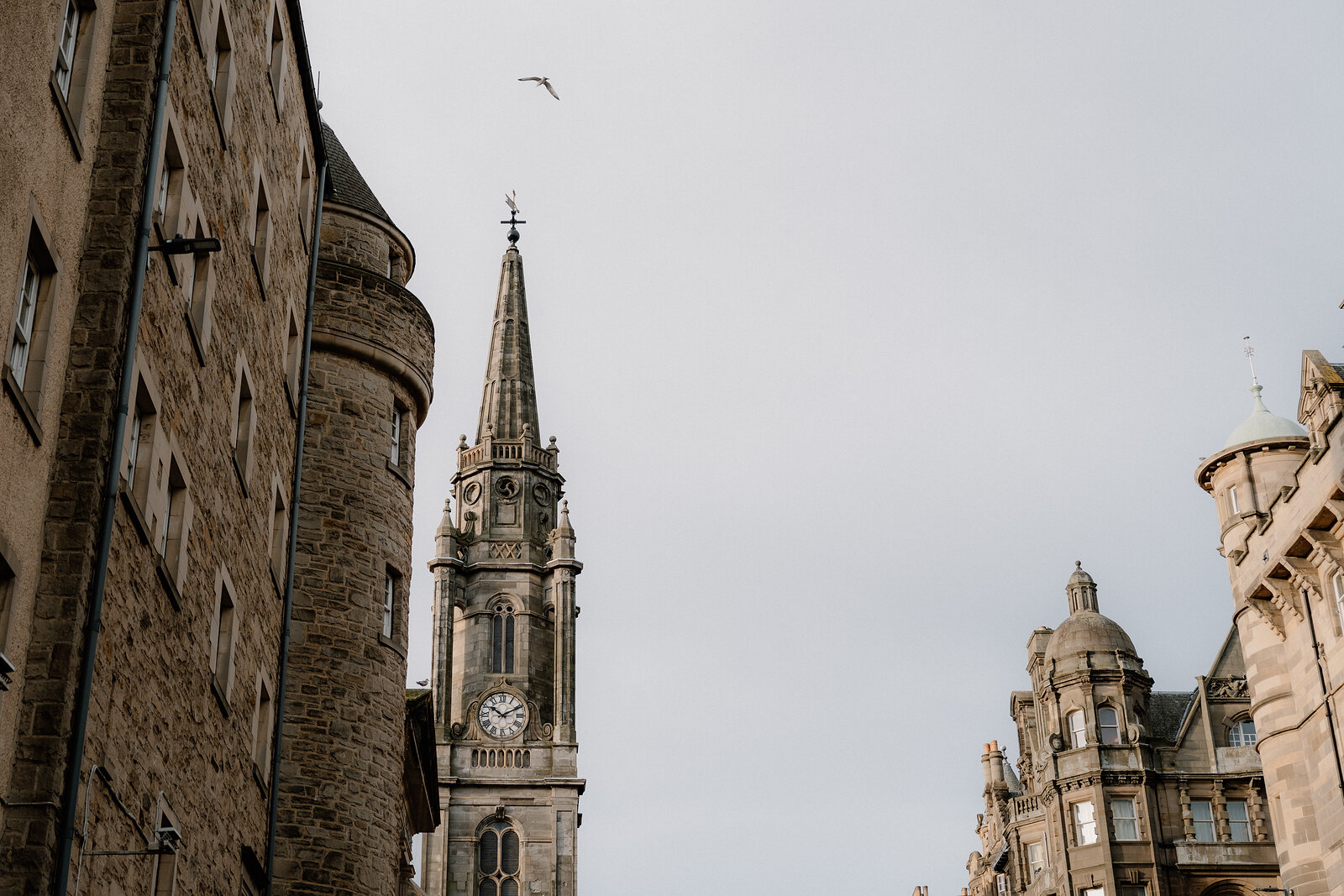 A gull flies past a spired clock tower on the Royal Mile, tenement buildings lining the street below.