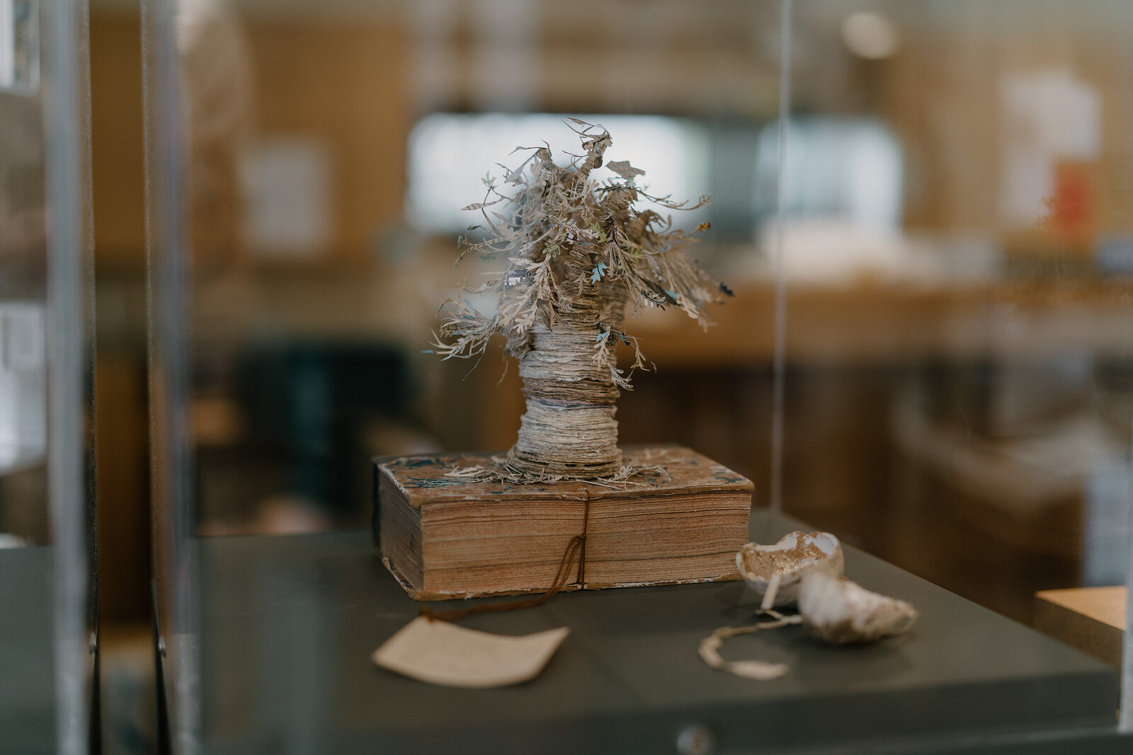 A paper sculpture of a bare tree rises from an old book in a museum display case.