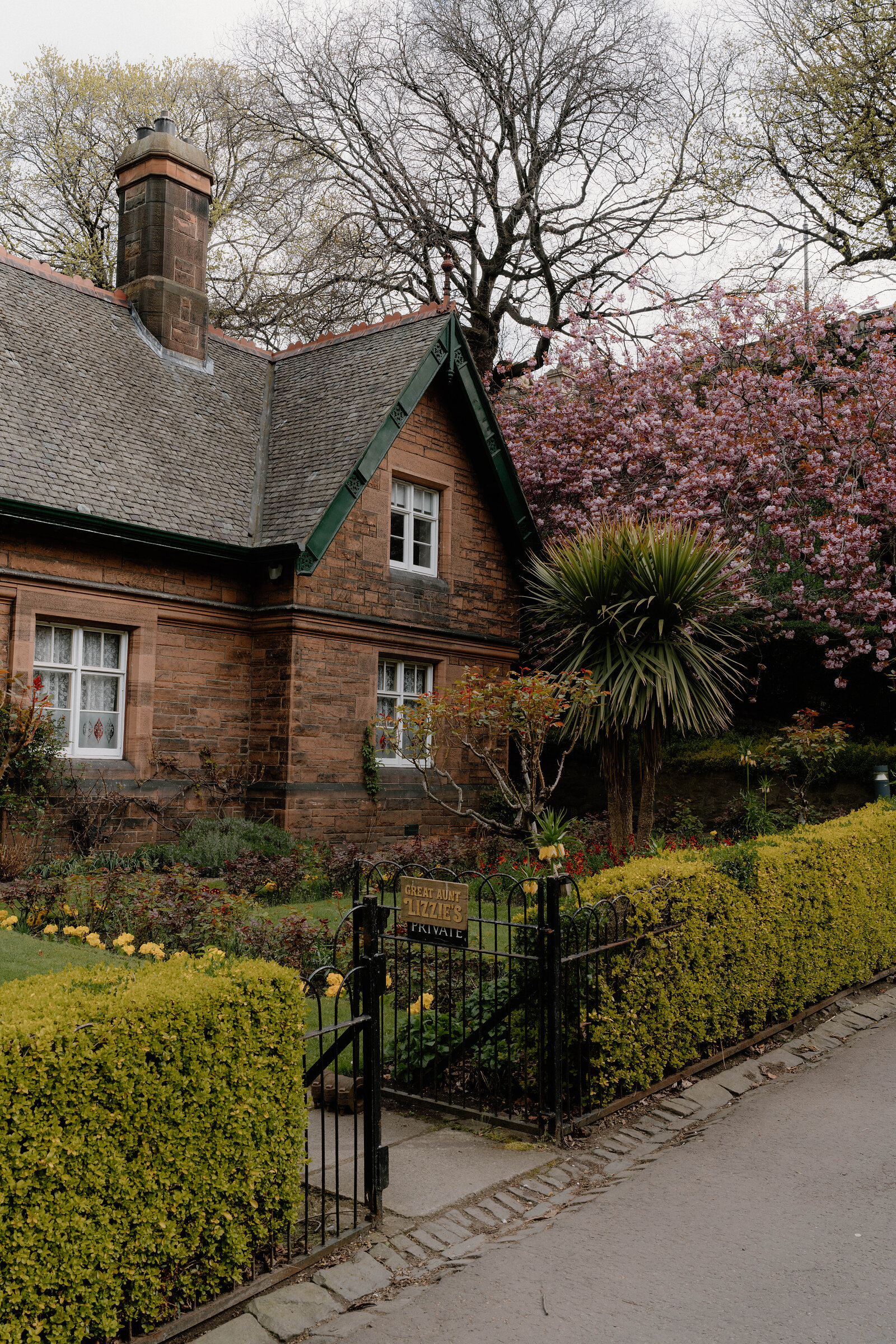 A blossoming tree stands beside a red sandstone cottage with a green-trimmed roof behind an iron gate and hedge.