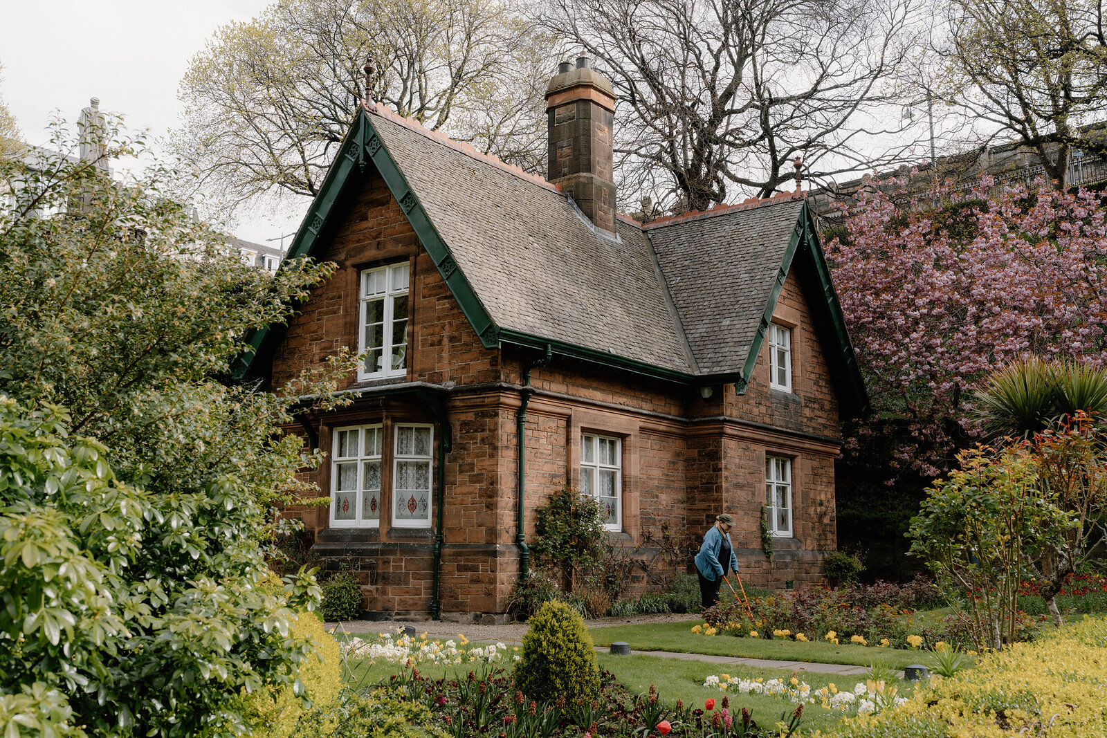 A person walks past a red sandstone cottage framed by a blossoming tree and clipped hedges.