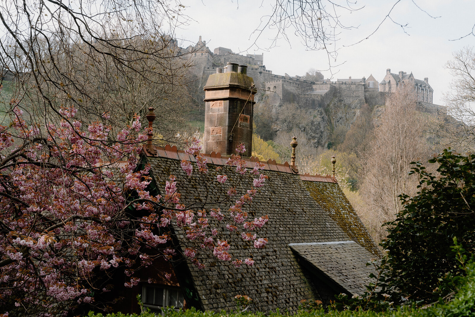A chimney and mossy roof rise beside blossoming branches, Edinburgh Castle visible on the hill beyond.
