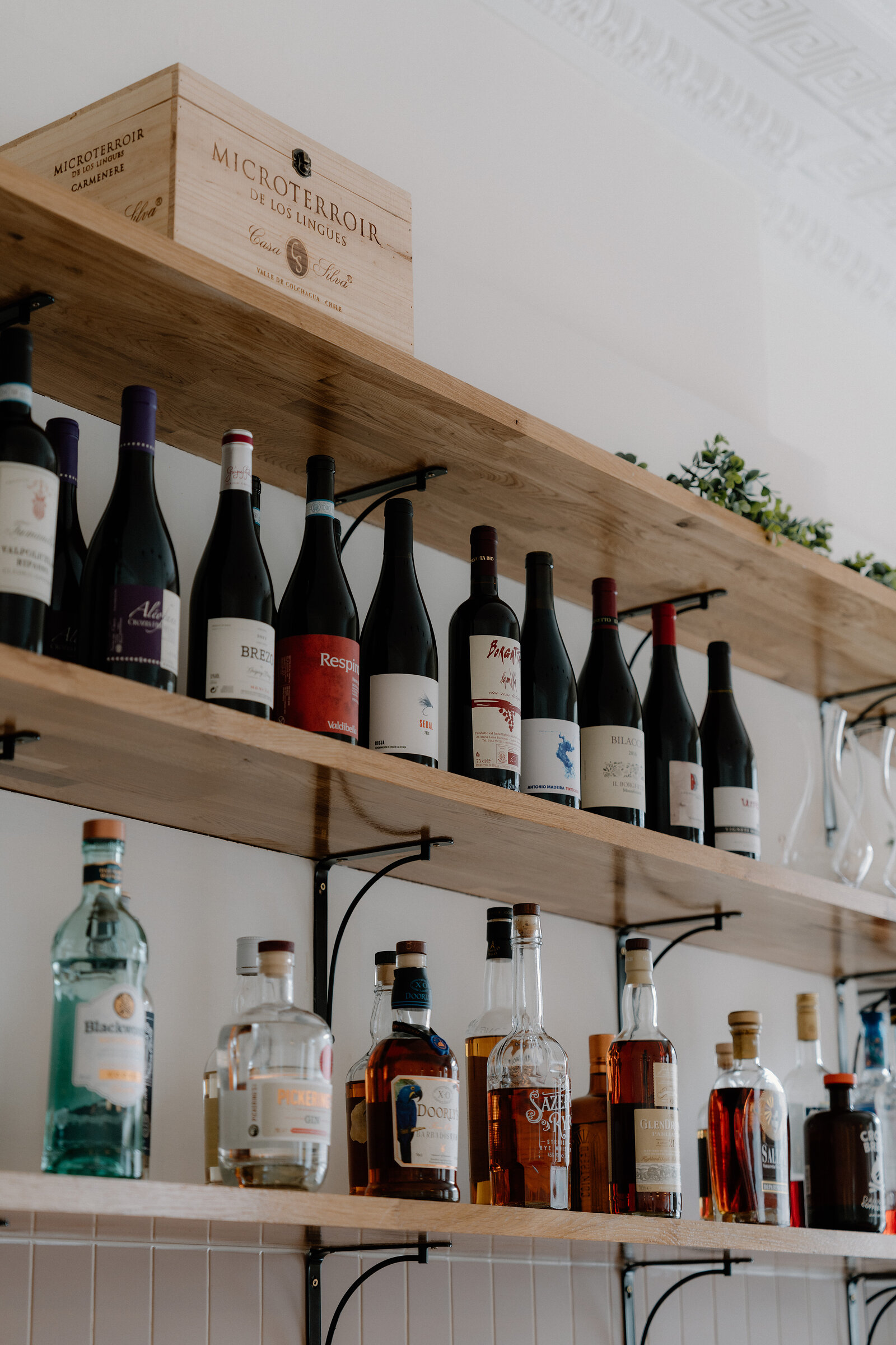 Wine and spirit bottles line wooden wall shelves, with a Microterroir wooden crate box on the top shelf beside a small potted plant.