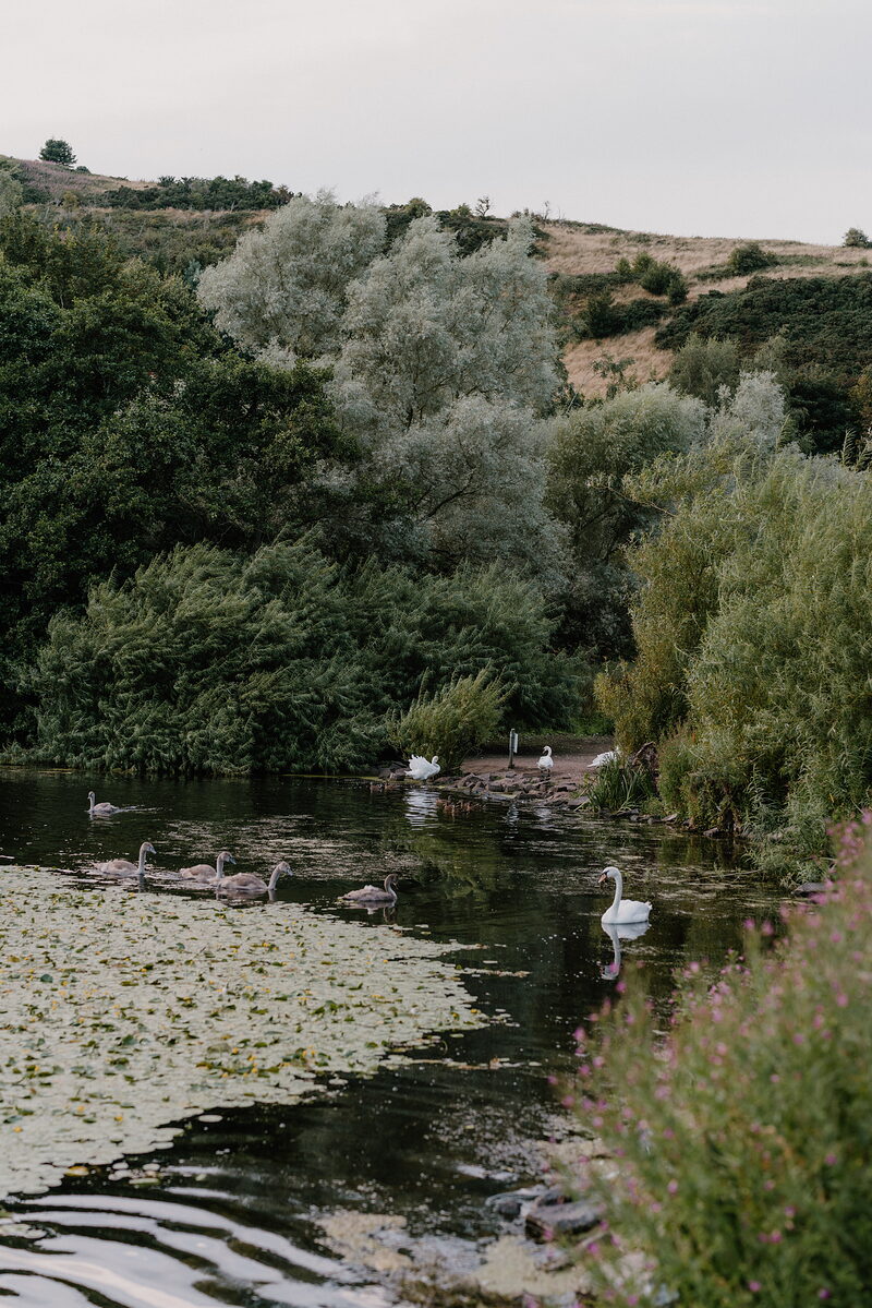 Duddingston Loch