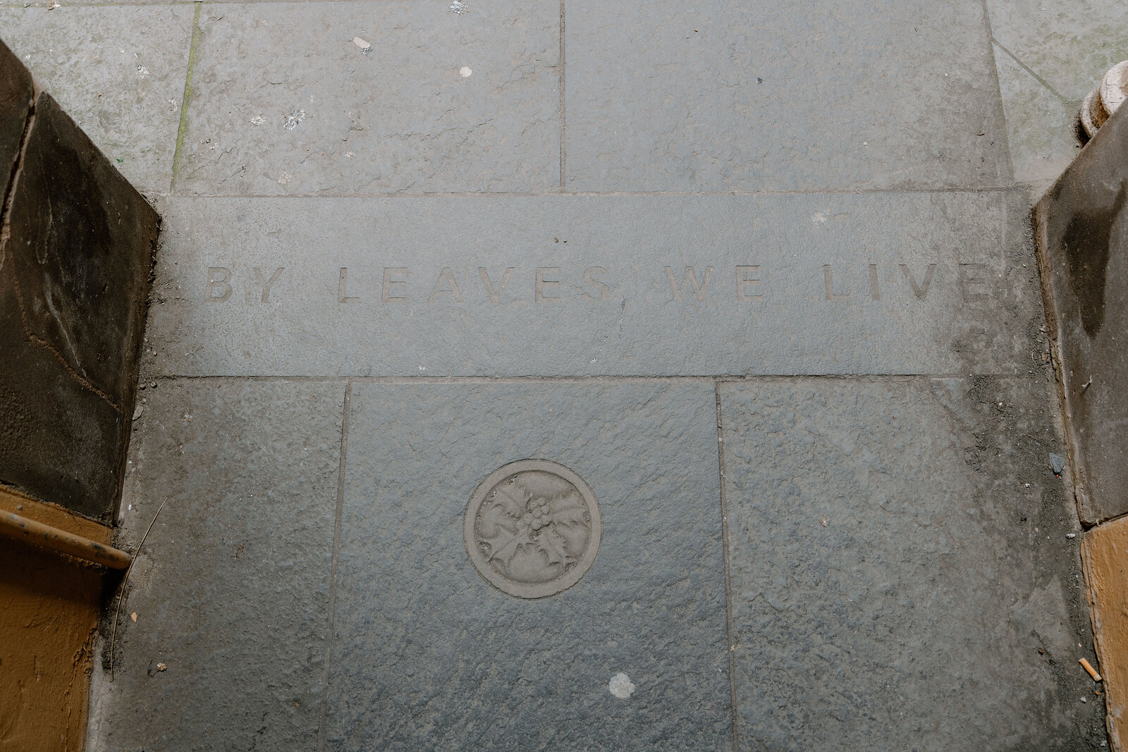 Paving inscribed By Leaves We Live sits beside a carved leaf emblem, at Riddle's Court