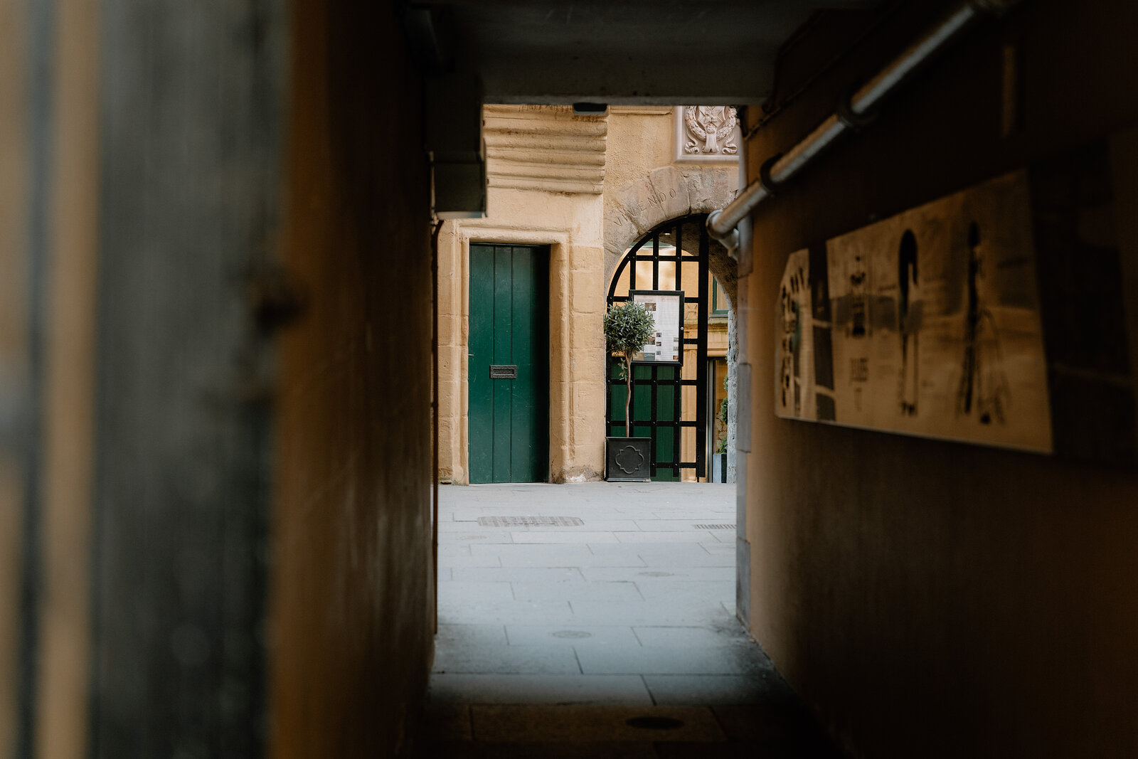 A passage leads towards a green door and an ornate gateway, information panels mounted on the wall at Riddle's Court