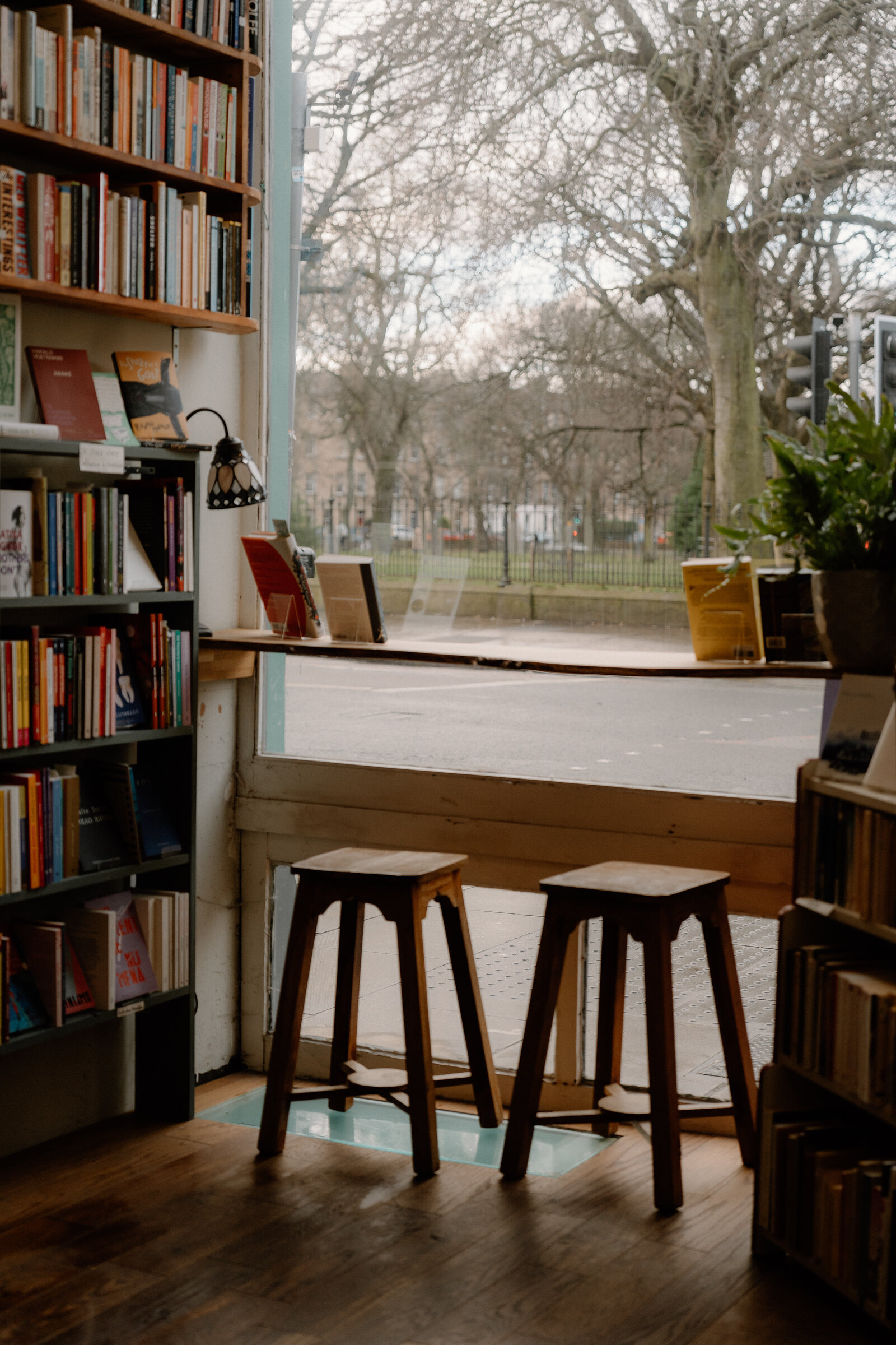Wooden stools set at a bookshop window overlooking a tree-lined street, shelves of books either side