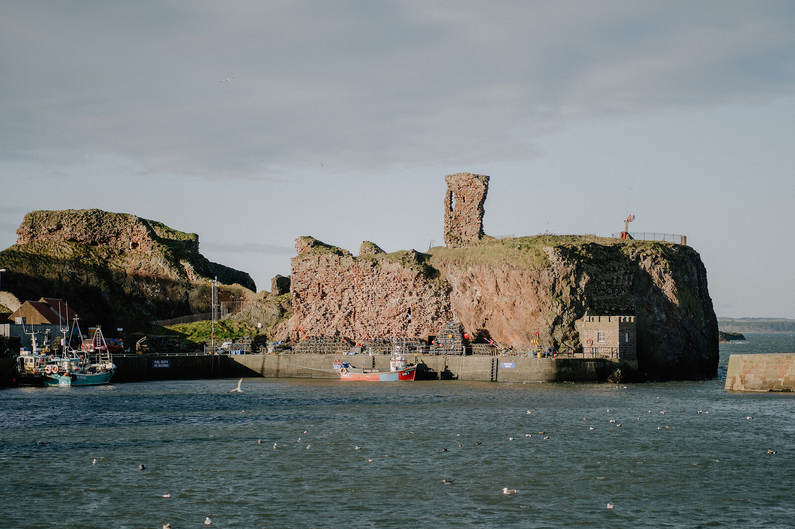 Red sandstone castle ruins rise above a harbour where boats sit moored among gulls.
