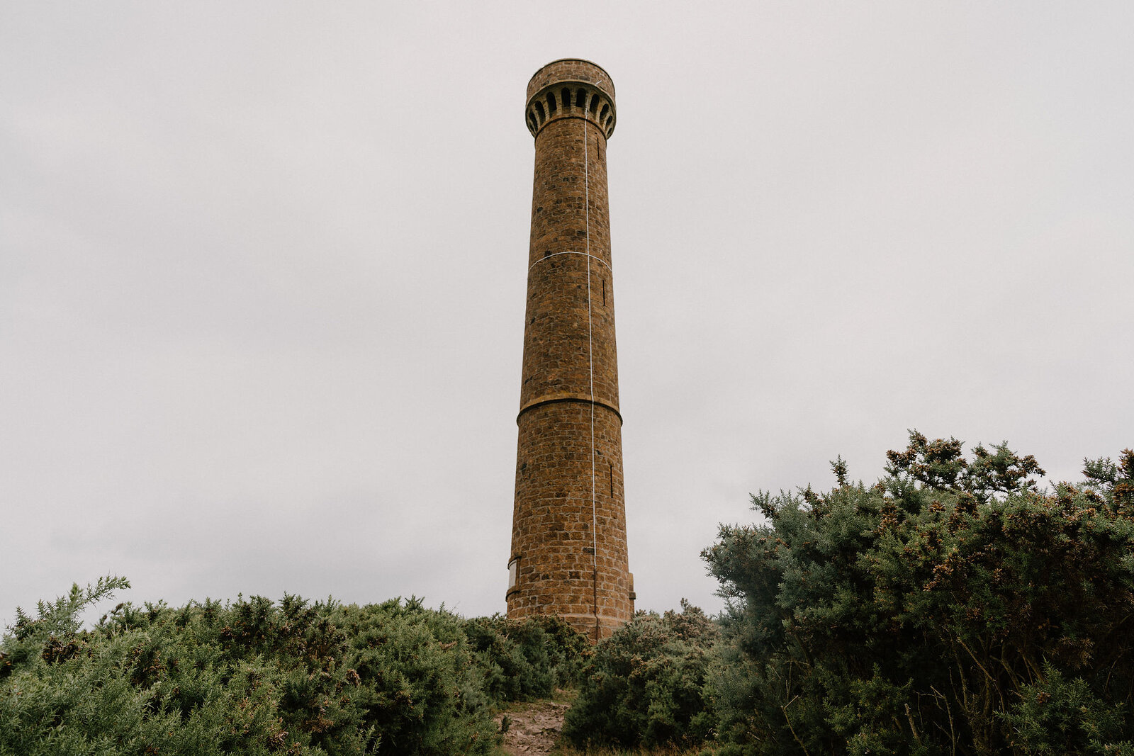 A tall stone tower rises above gorse bushes on a hilltop.