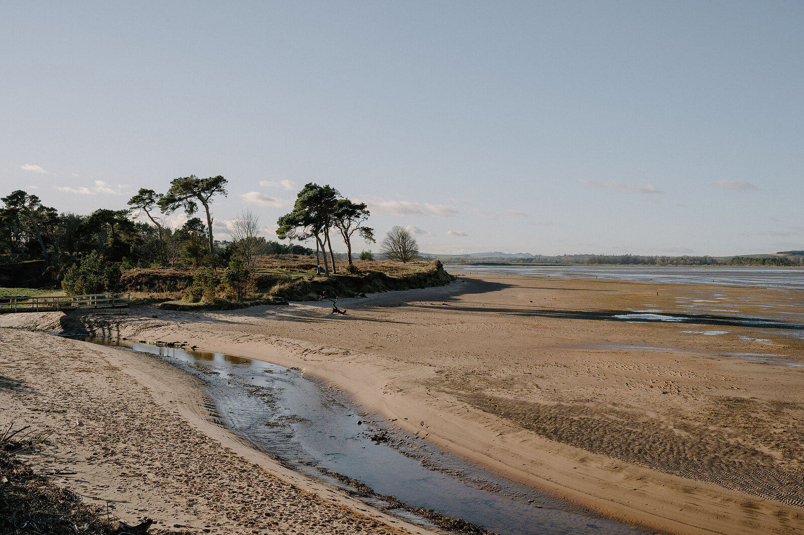 A tidal channel winds across a sandy estuary lined with pine trees.