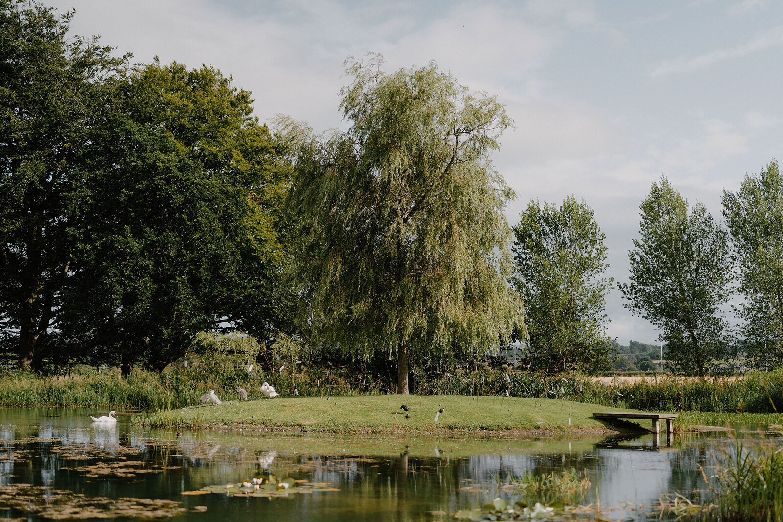 A weeping willow overhangs a garden pond crossed by a small footbridge.