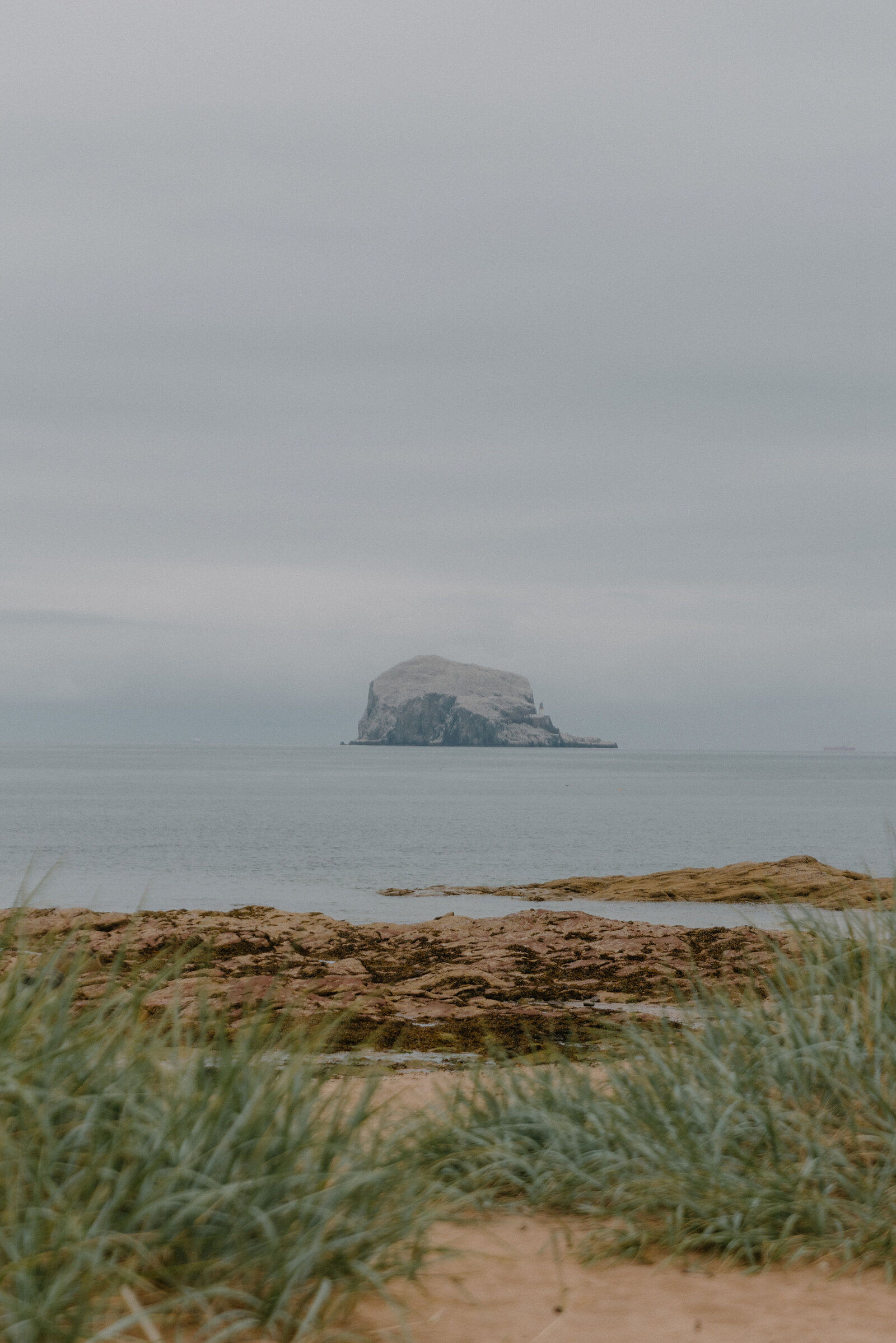 Bass Rock rises from the sea beyond a beach fringed with marram grass.