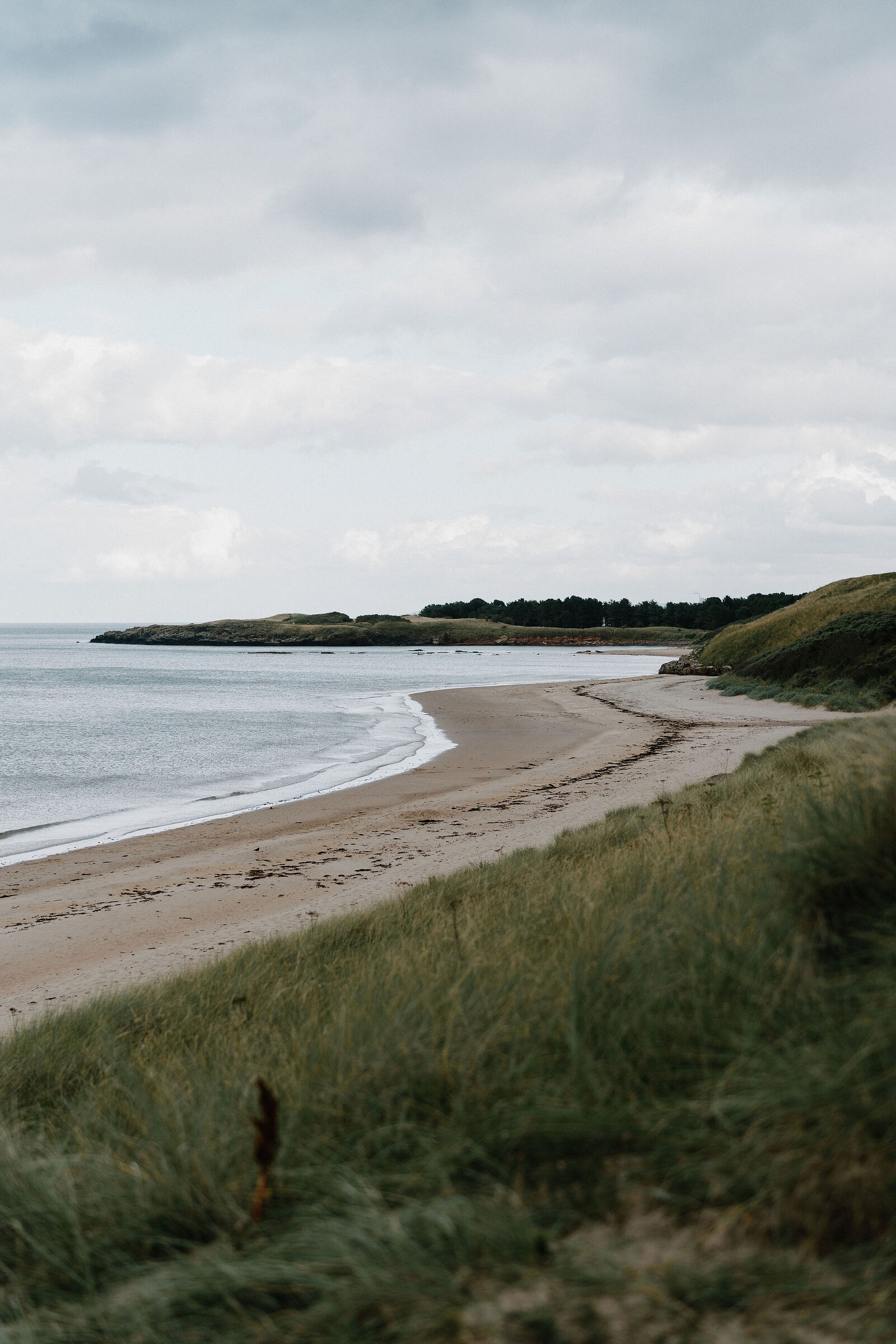 A curving sandy beach is backed by dunes and a line of trees.