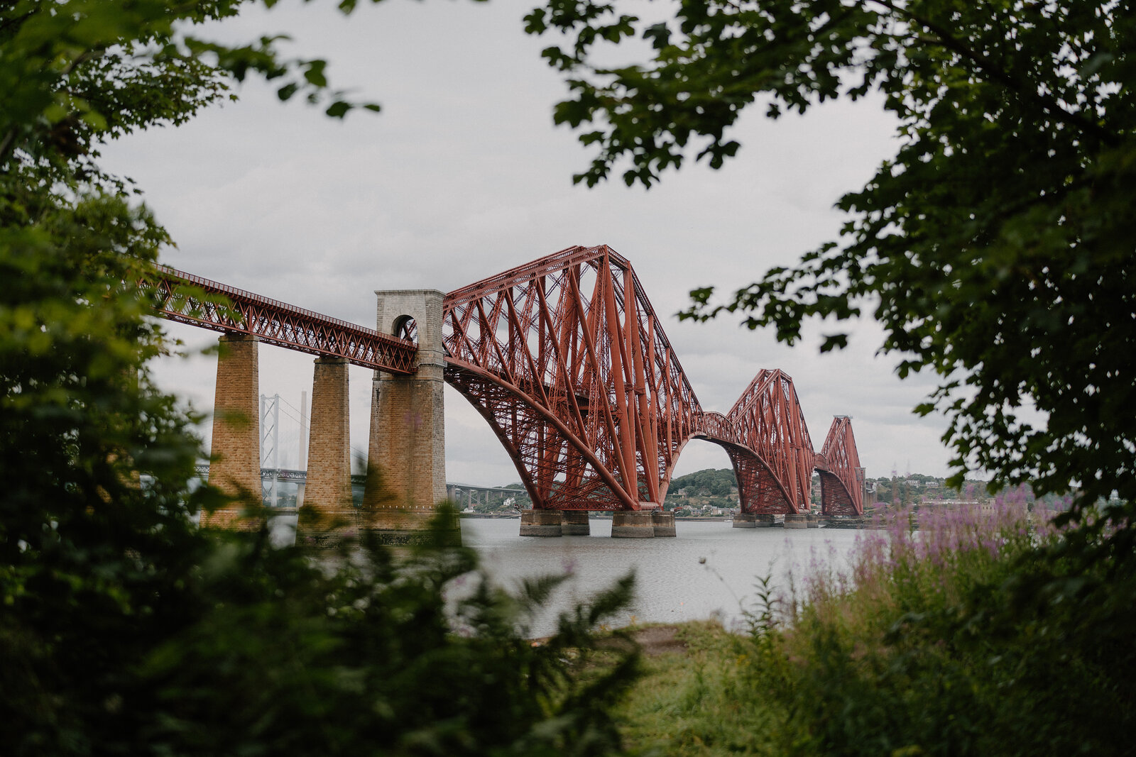The Forth Bridge's red cantilevered spans framed by overhanging tree branches