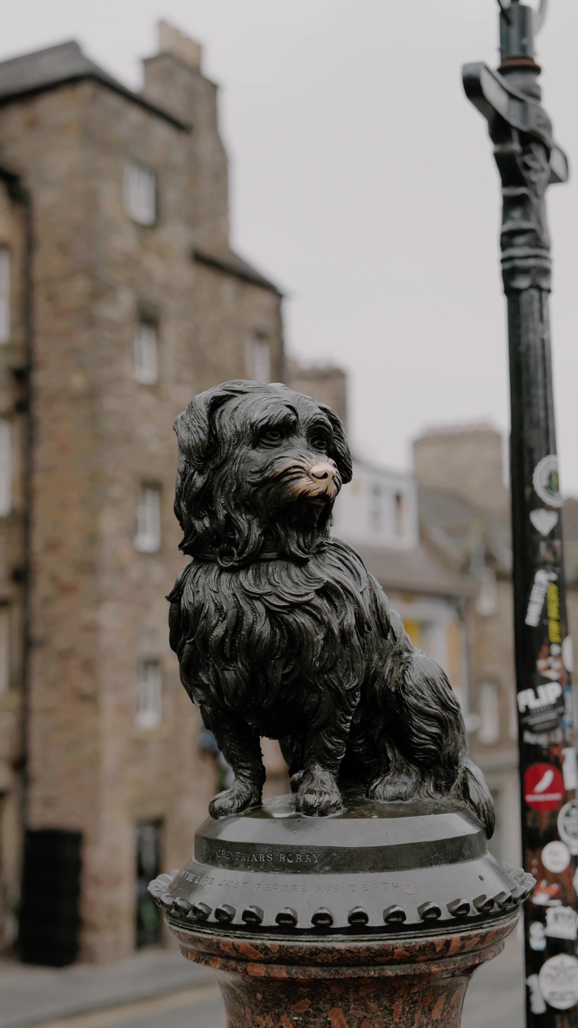 a bronze Skye Terrier statue on a plinth beside a sticker-covered lamp post