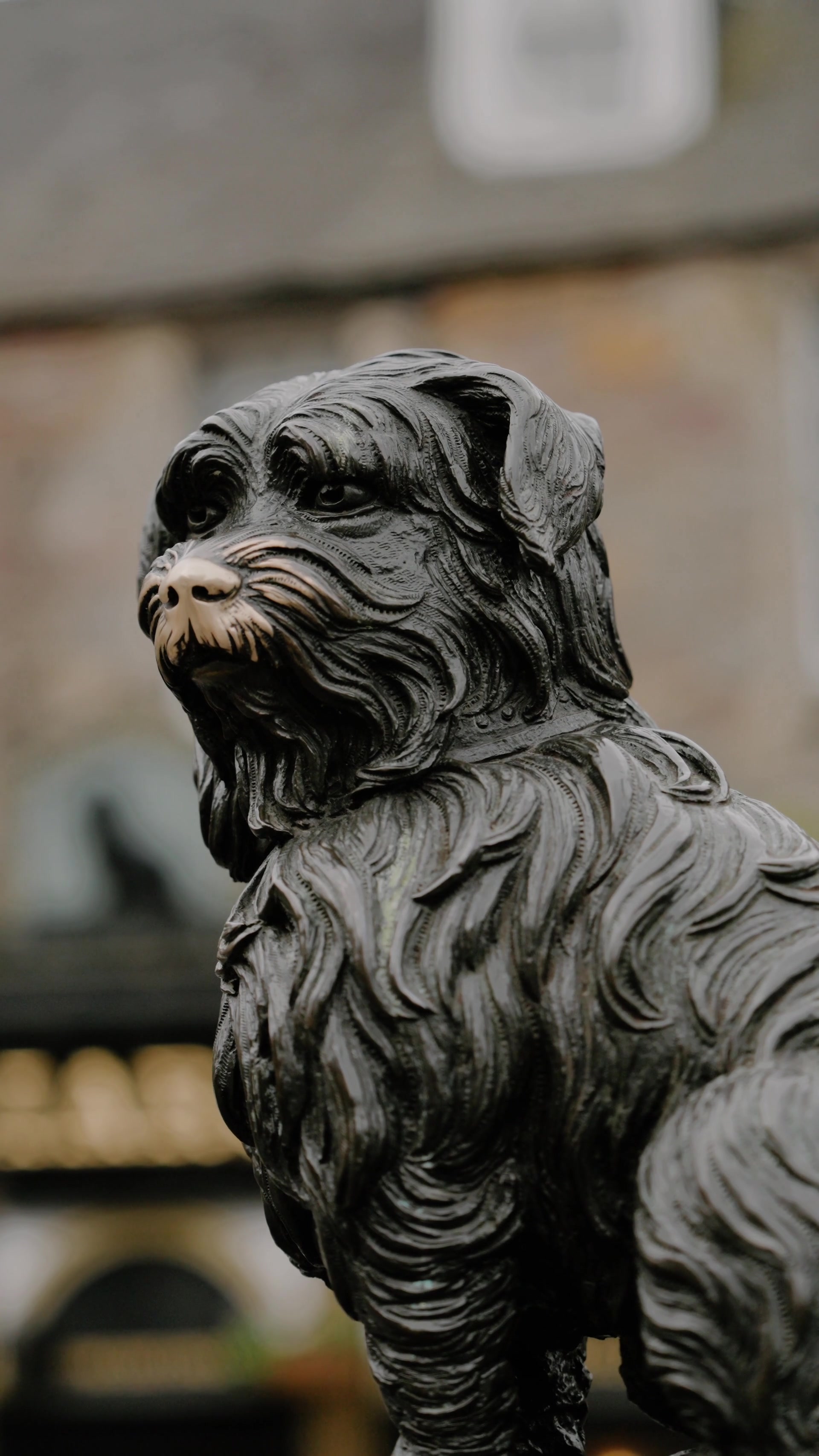 a close side profile of a bronze Skye Terrier statue