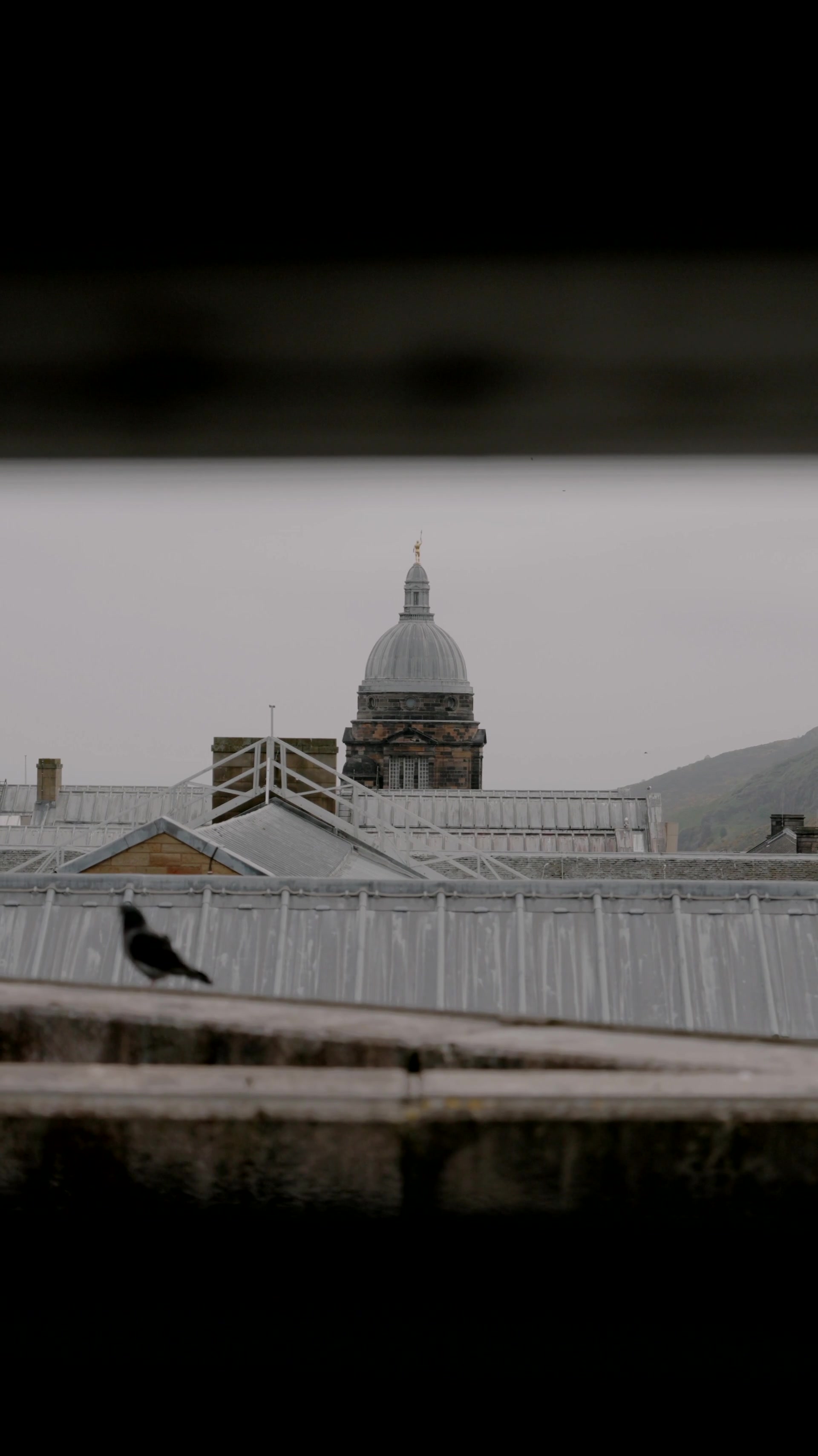 a domed clock tower rises above glass conservatory roofs with a bird perched on the ridge