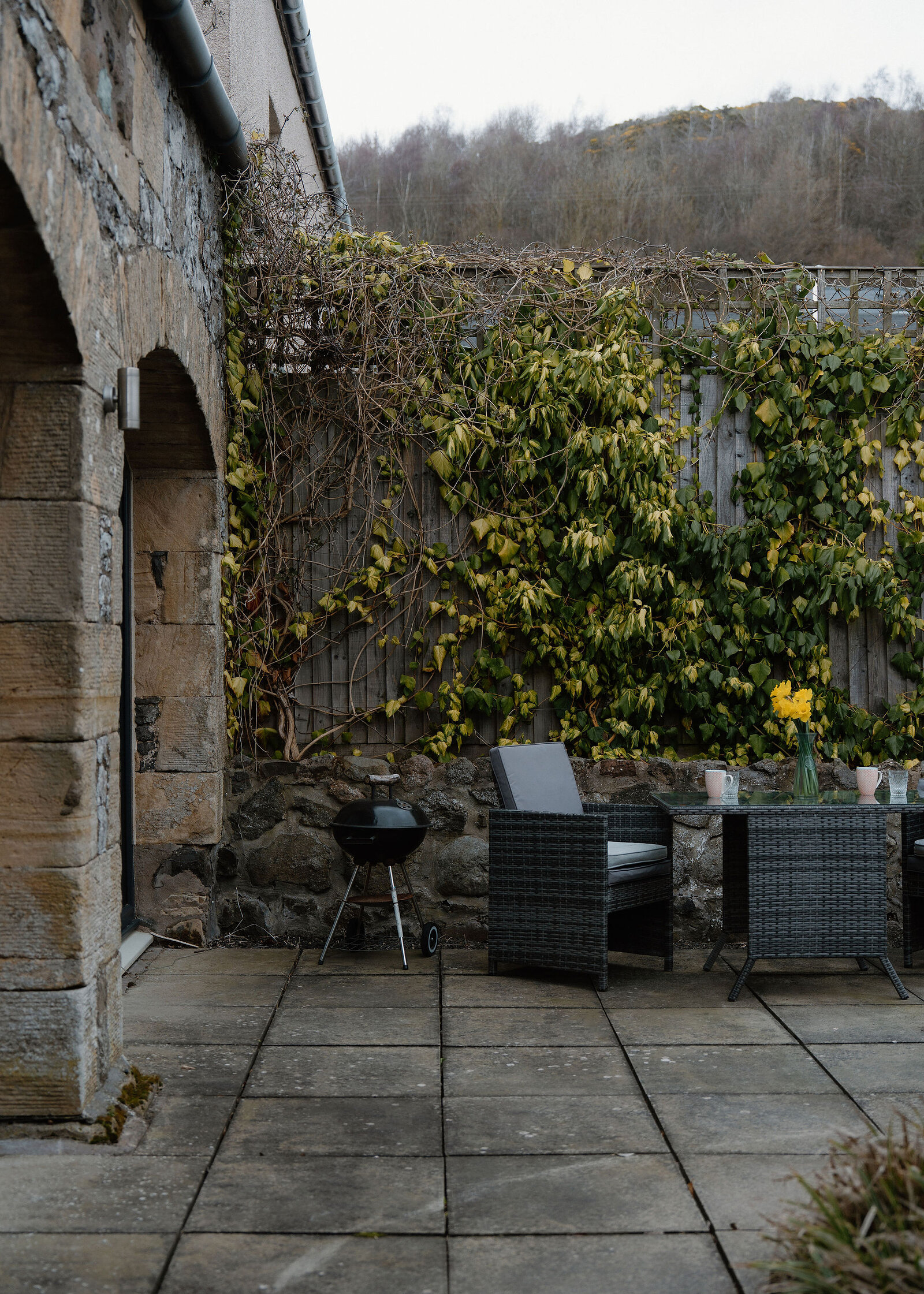 A kettle barbecue and wicker dining set with daffodils stand against an ivy-covered fence, with the wooded hill rising close above.