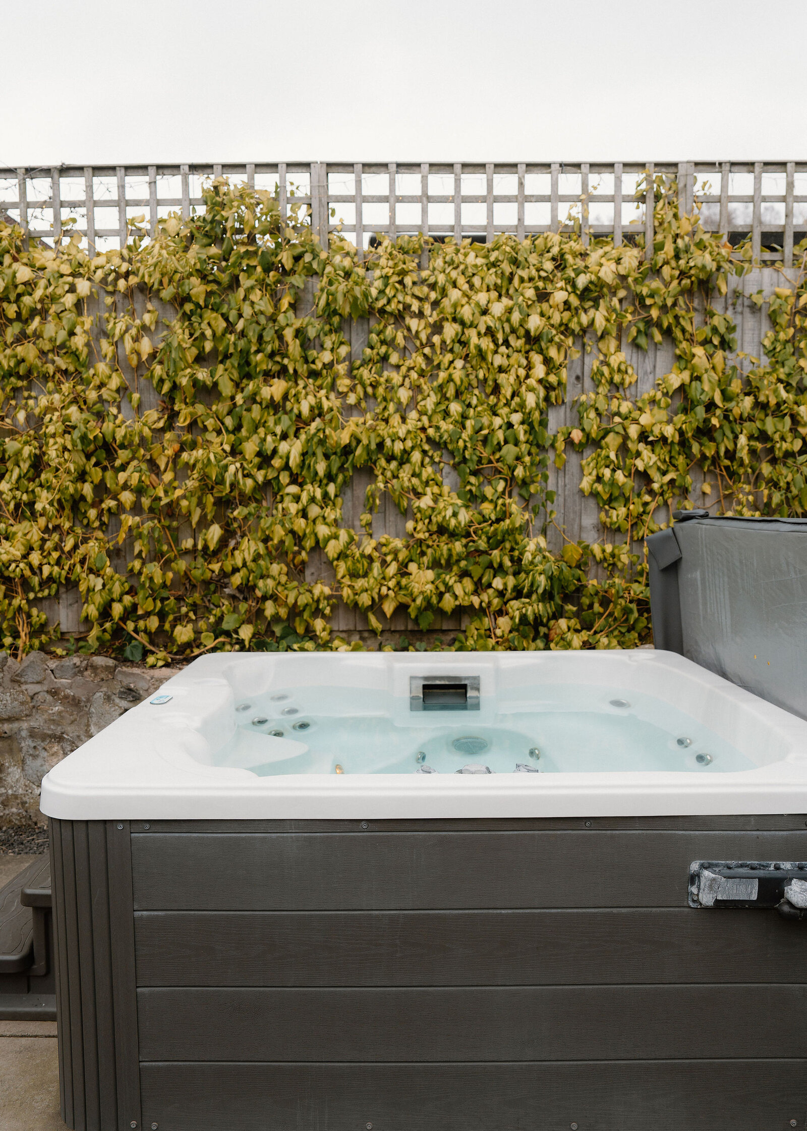 A hot tub filled with still water sits before a trellis fence covered in variegated ivy.