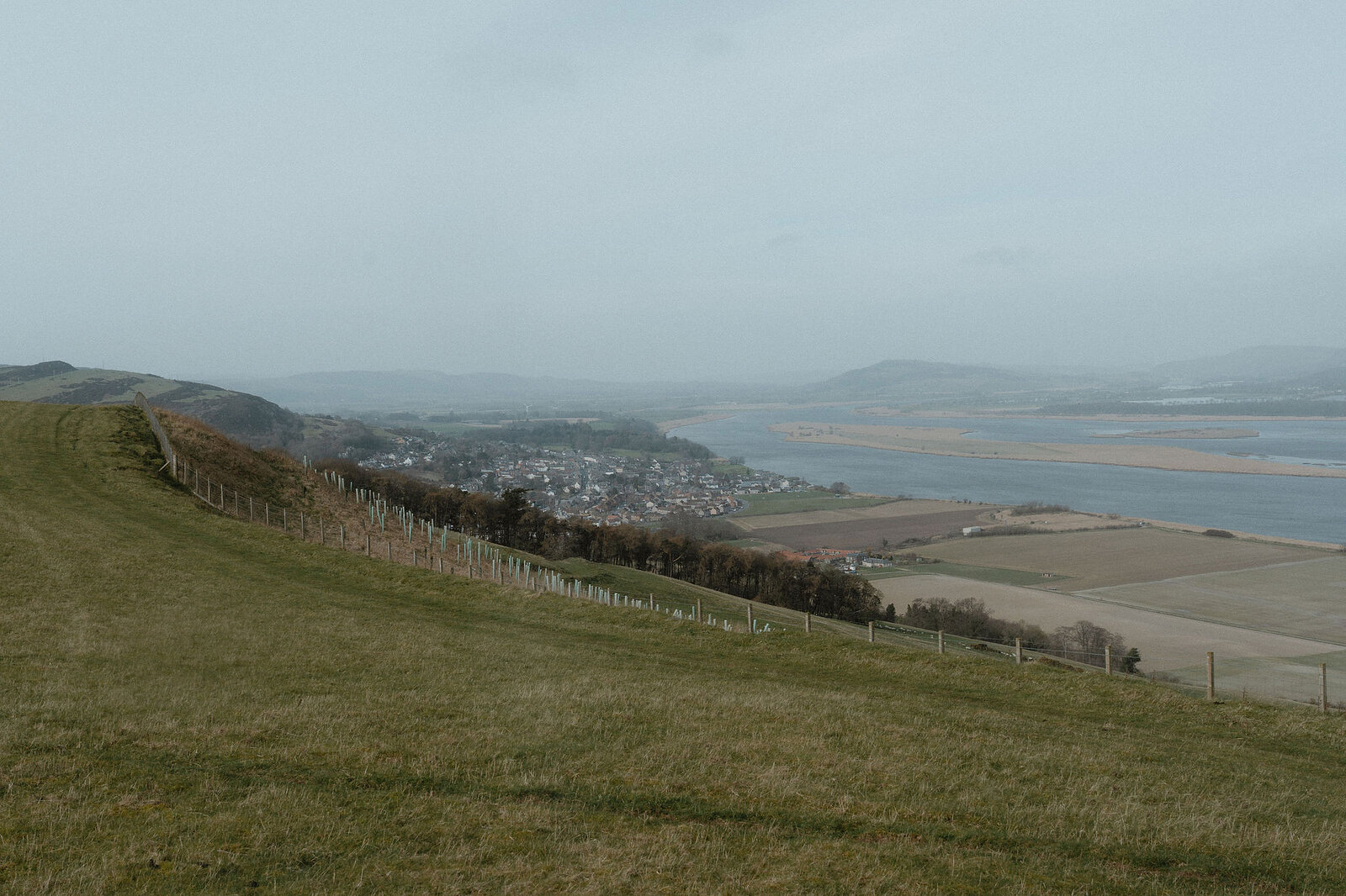 A fence line of young tree guards runs down the grassy hillside towards Newburgh and the wide River Tay under a grey haze.