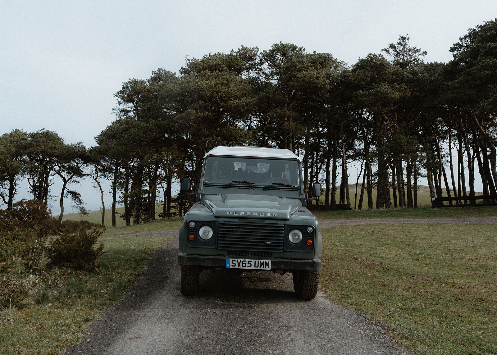 The green Land Rover Defender on the farm track in a wide frame, with the full line of Scots pines and open fields either side.