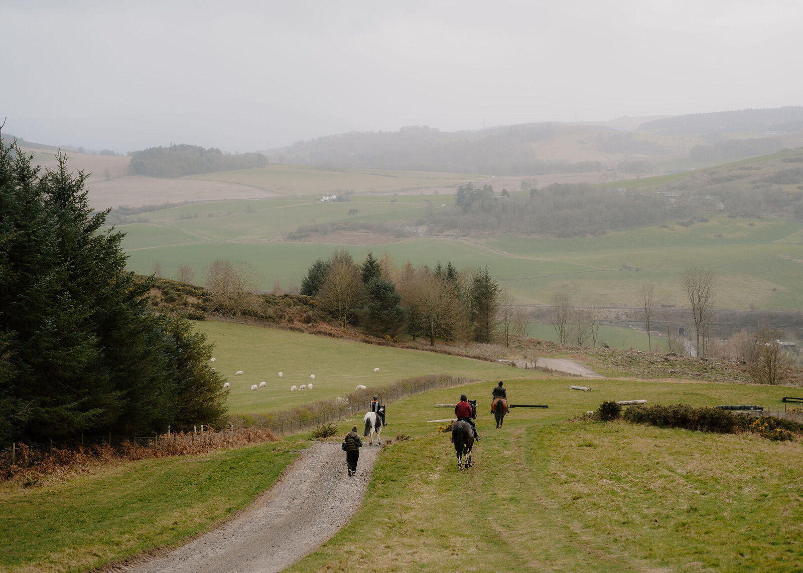 In a wider landscape frame, three riders and a walker descend the farm track past dark spruces, with sheep grazing below and hills beyond.