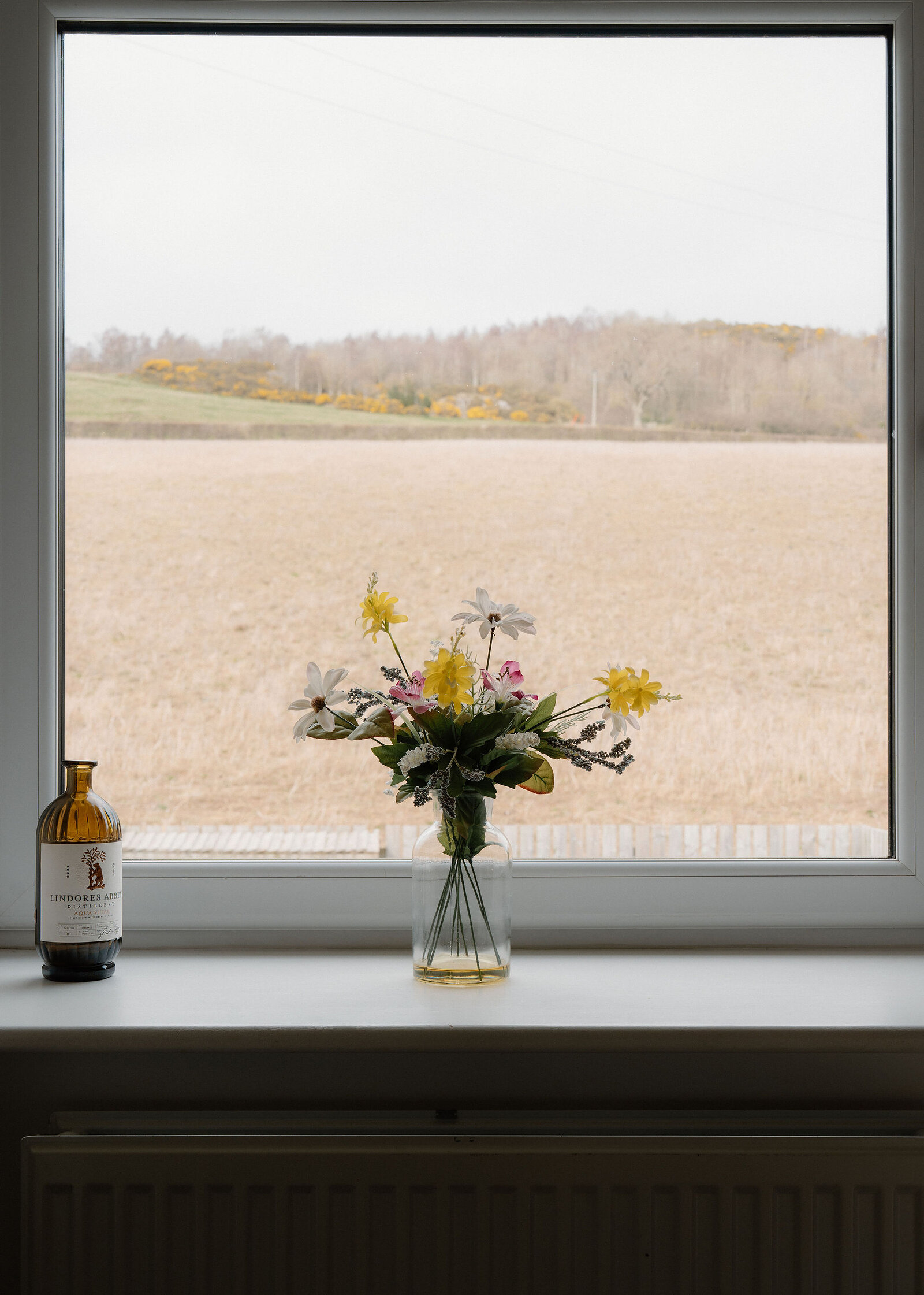 A small vase of yellow and white wildflowers sits on a windowsill beside a bottle, overlooking fields beyond the glass.