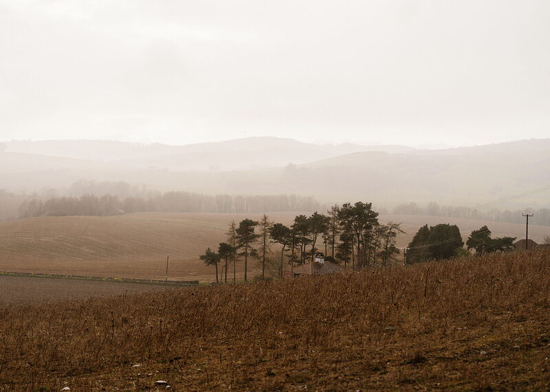 A clump of Scots pines shelters a red-roofed cottage beyond a slope of dry grass, with misty fields and hills rolling away behind.