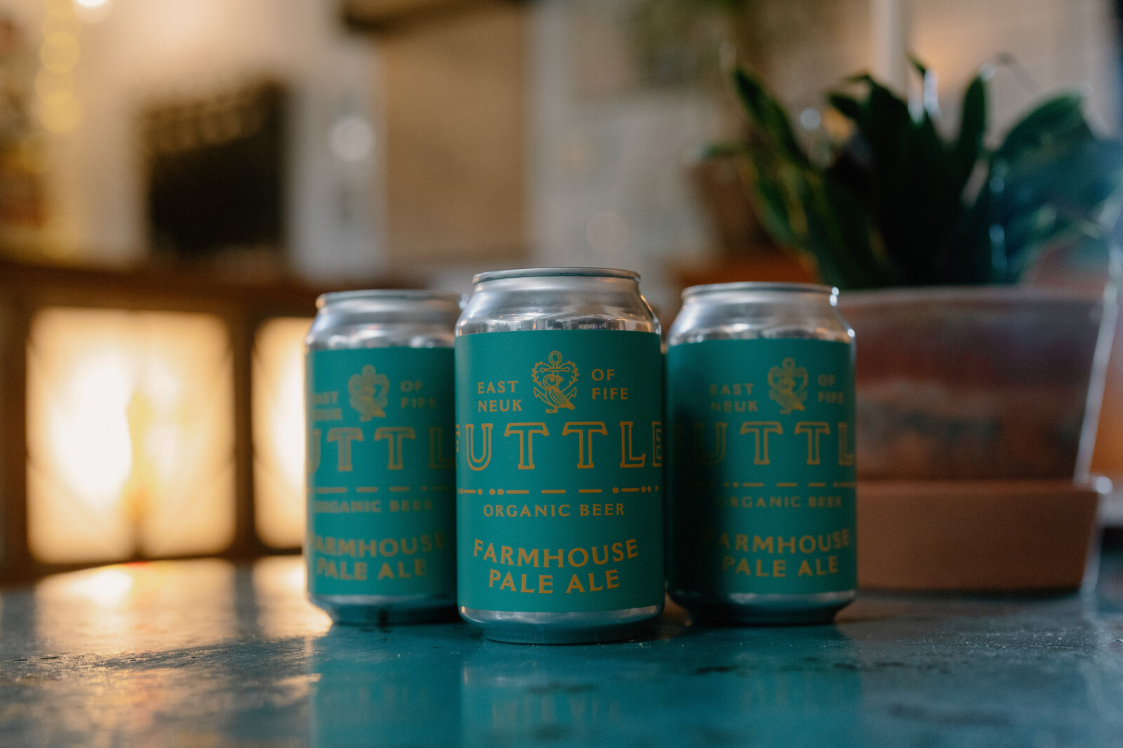 Three cans labelled "FUTTLE — EAST NEUK OF FIFE — ORGANIC BEER — FARMHOUSE PALE ALE" stand on a teal table, a potted plant blurred in the background.