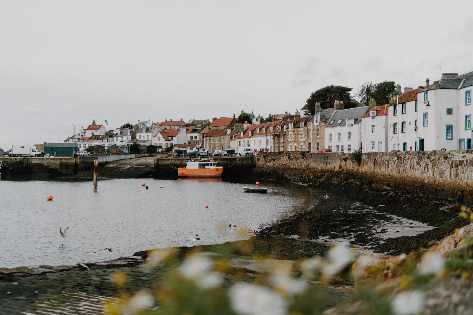 An orange boat floats in a stone harbour beside a curving row of white and coloured houses, gulls resting on the water.