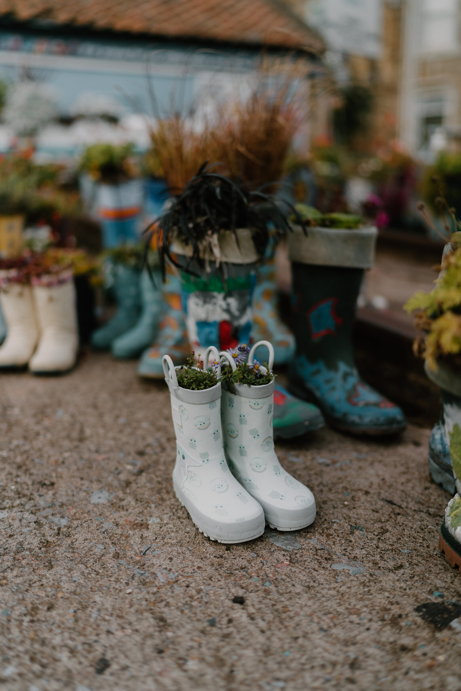 Rows of wellington boots painted with patterns and planted with flowers and grasses line a courtyard, small white boots decorated with faces standing at the front.