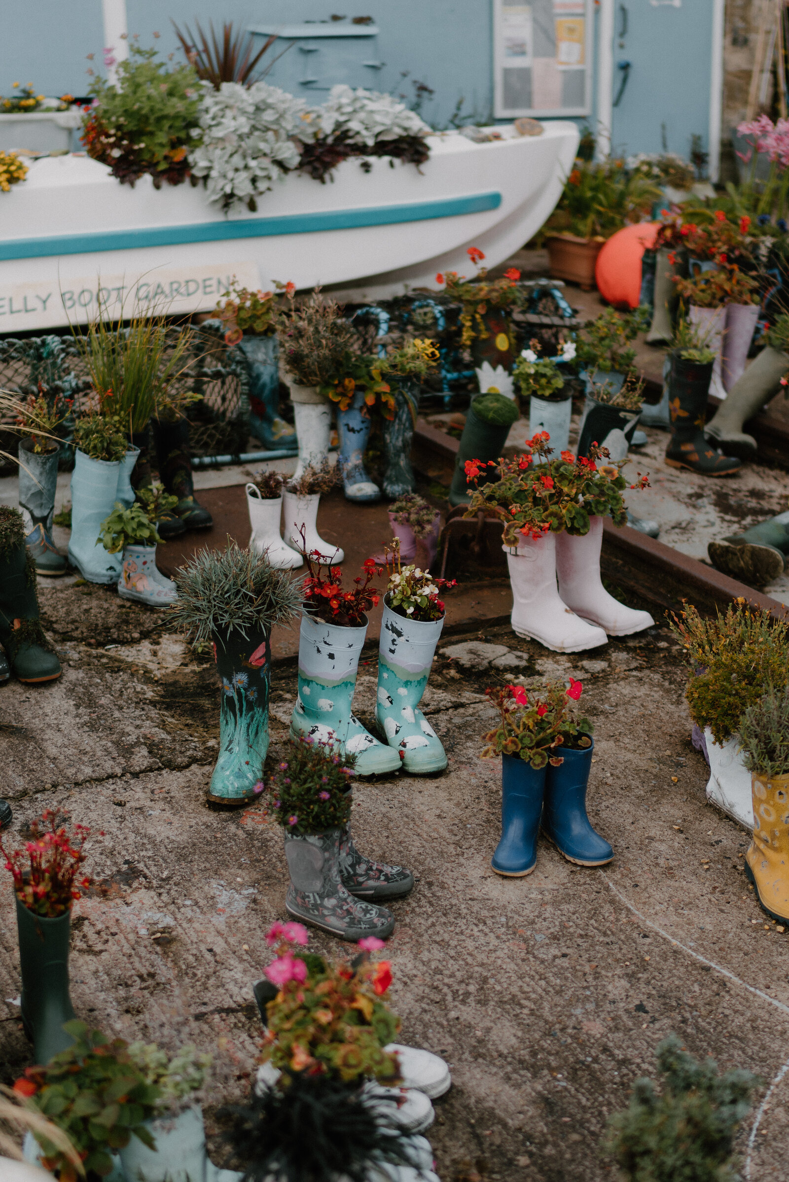 Rows of patterned wellington boots planted with flowers stand in front of a boat labelled "...elly Boot Garden", small blue boots decorated with faces among them.