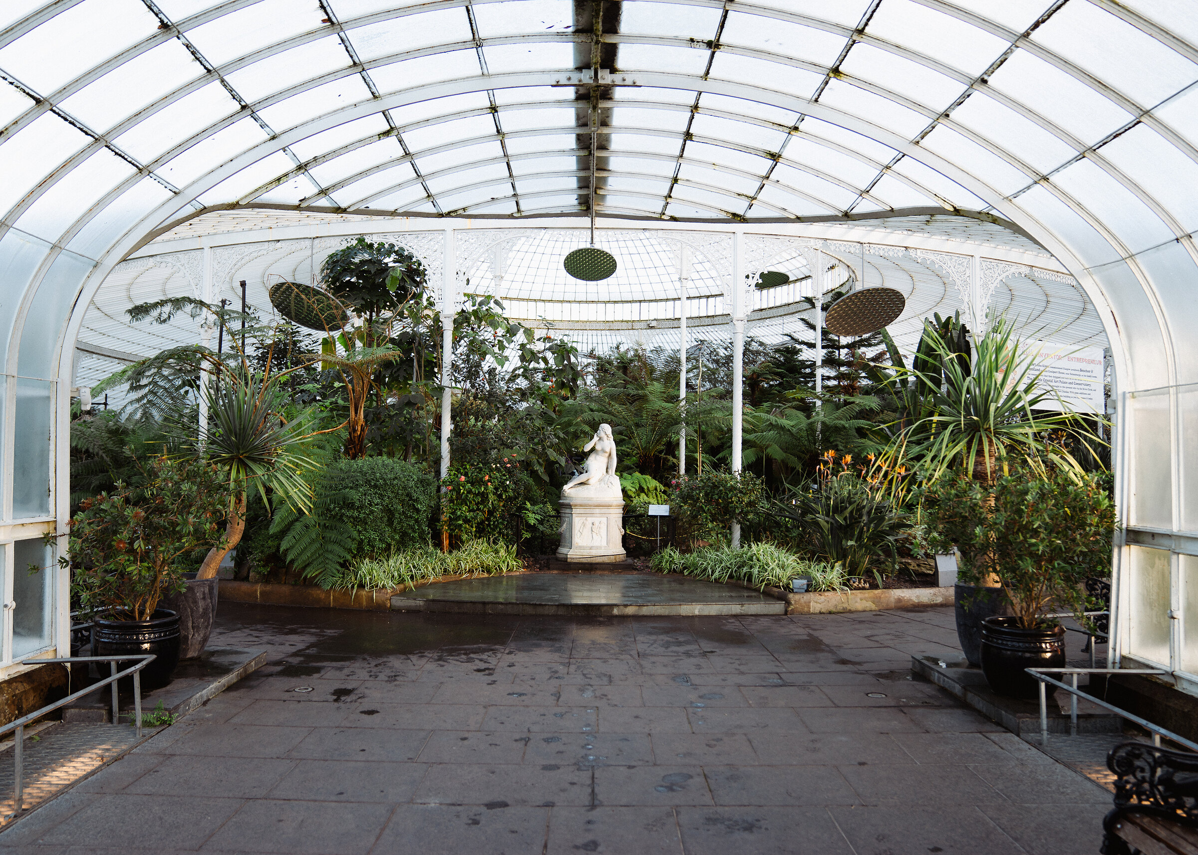 A white marble statue stands among palms and ferns beneath the curved glass roof of a Victorian conservatory.