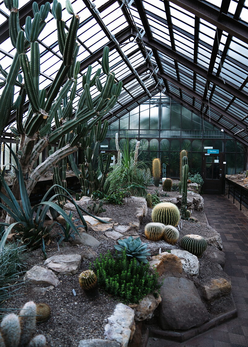 Glasgow Botanic Gardens and the Kibble Palace