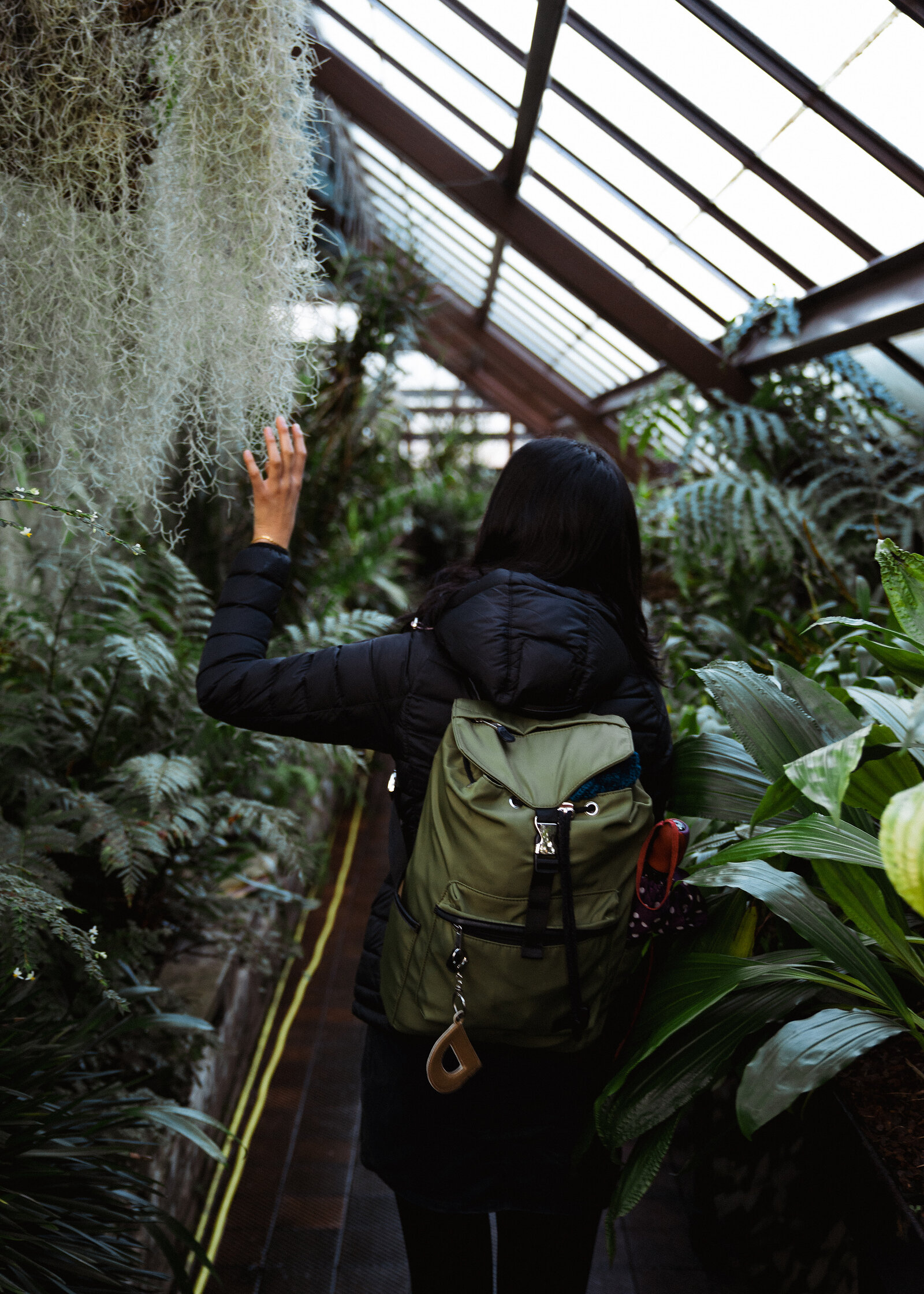 A woman with a backpack reaches up to touch hanging Spanish moss in a glasshouse, ferns and broad leaves crowding the path around her.