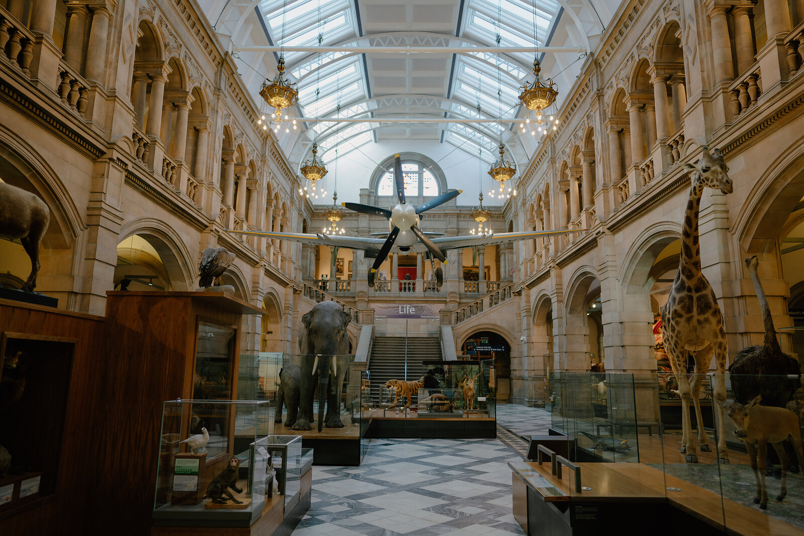 A Spitfire fighter plane hangs beneath ornate chandeliers in a grand museum hall, a taxidermy elephant and giraffe standing on the checkerboard tiled floor.