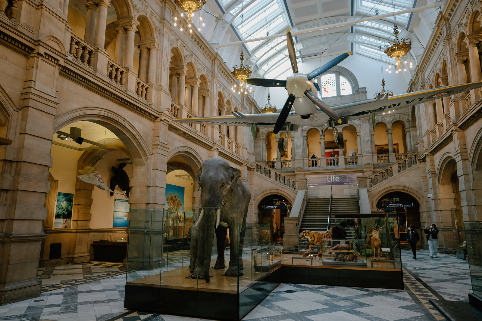 A Spitfire fighter plane hangs beneath a glazed roof in a grand museum hall, a taxidermy elephant standing beside display cases on the checkerboard tiled floor.