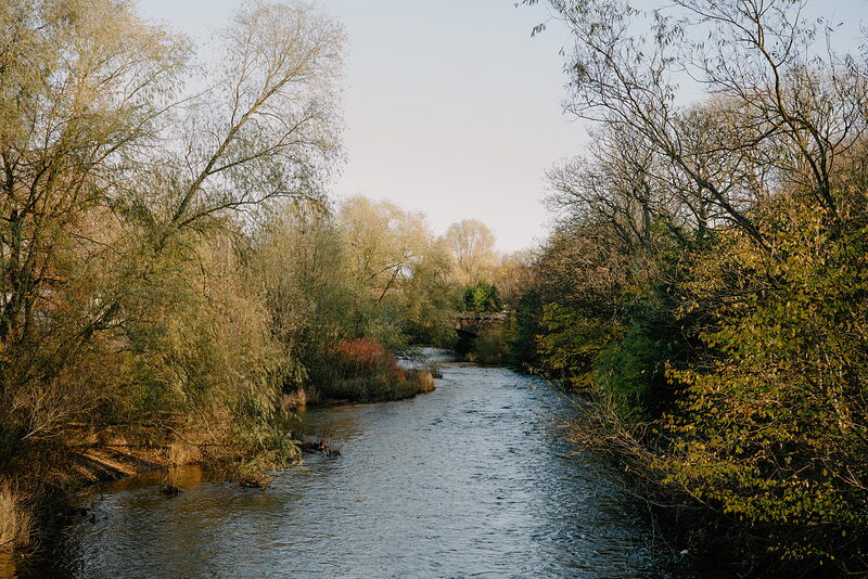 A river winds between banks of autumn trees toward a distant bridge and building.