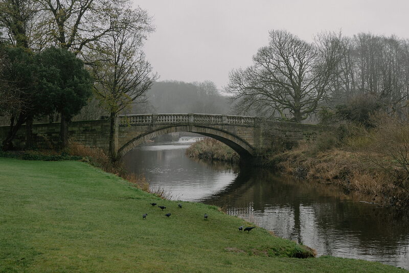 A stone bridge with balustraded parapets arches over a calm river in a misty parkland, crows gathered on the grass bank.