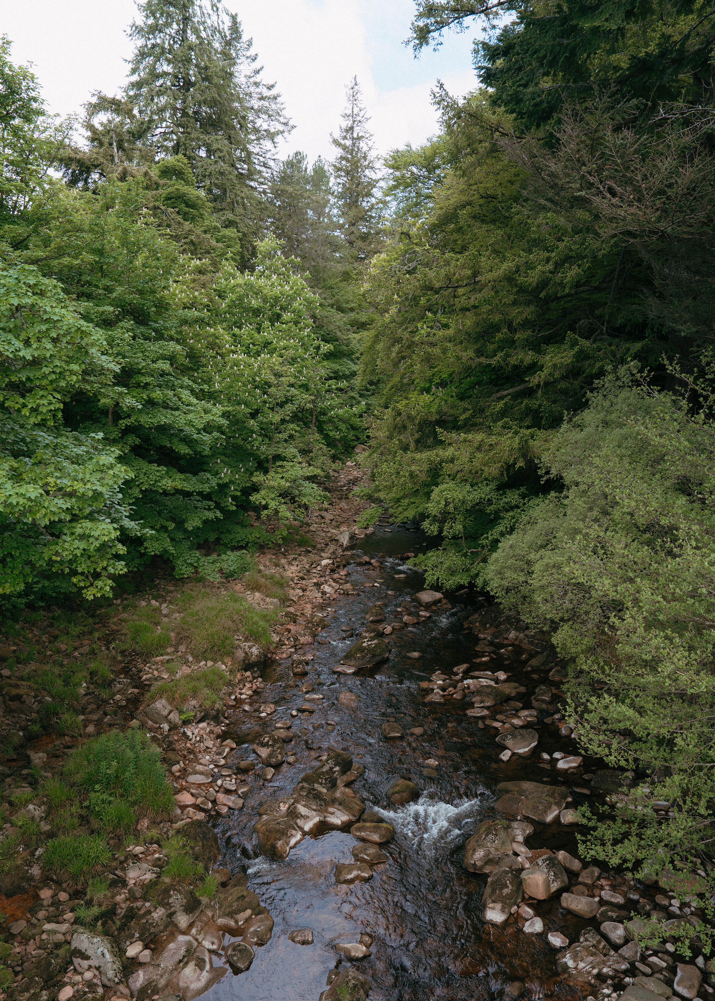 Finzean and Glen Dye: Clachnaben, Cairn o' Mount, farm shop