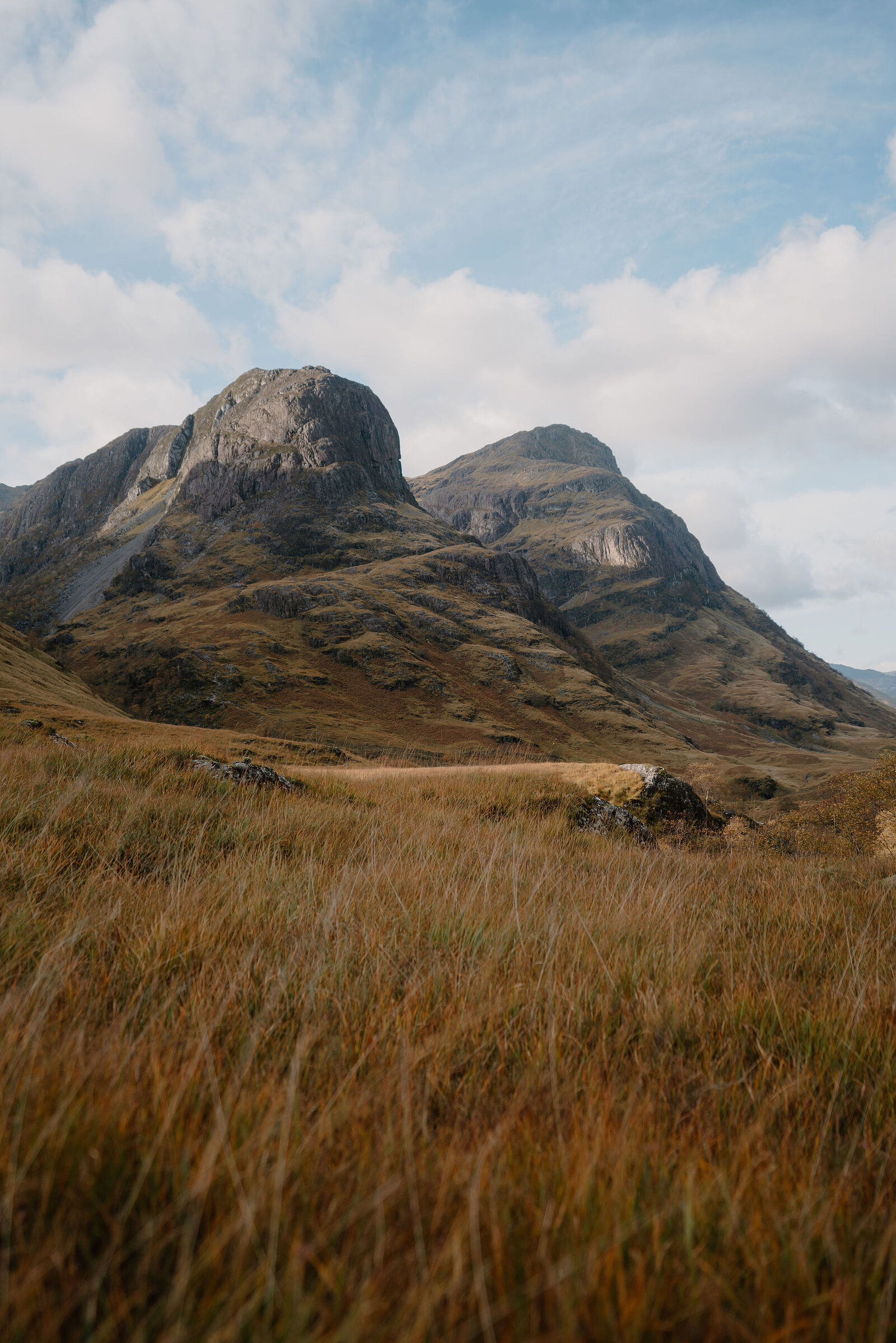 Two rugged mountain peaks rise above a golden autumn glen, tall grass filling the foreground.