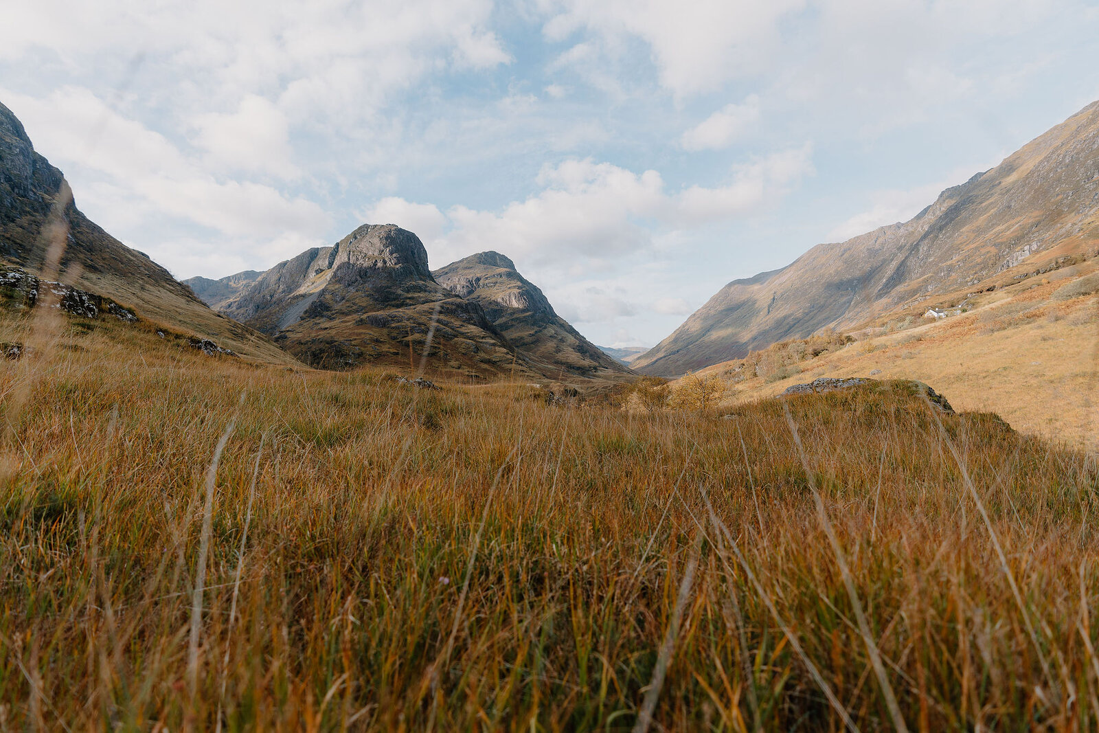 Two rugged mountain peaks rise above a golden autumn glen, tall grass filling the foreground.