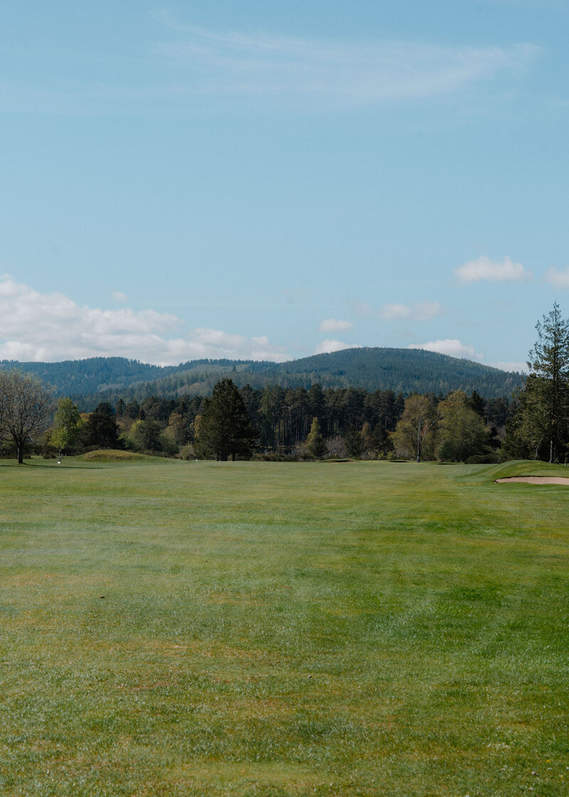 A fairway leading to a green with a bunker, below a forested hill.