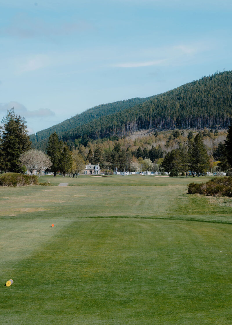A tee looking past pines to a white house, caravans and a forested hill with a felled patch.