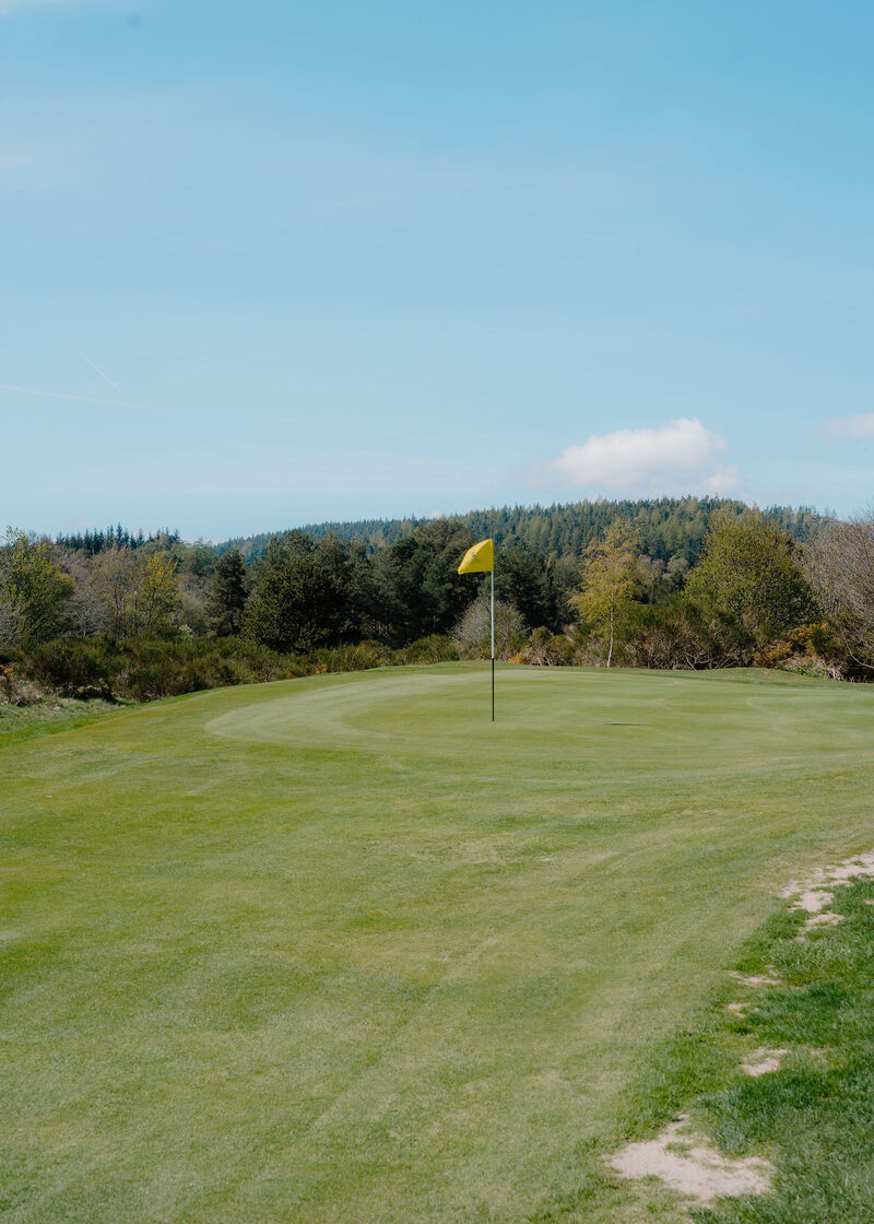 A green with a yellow flag among pines and birches.